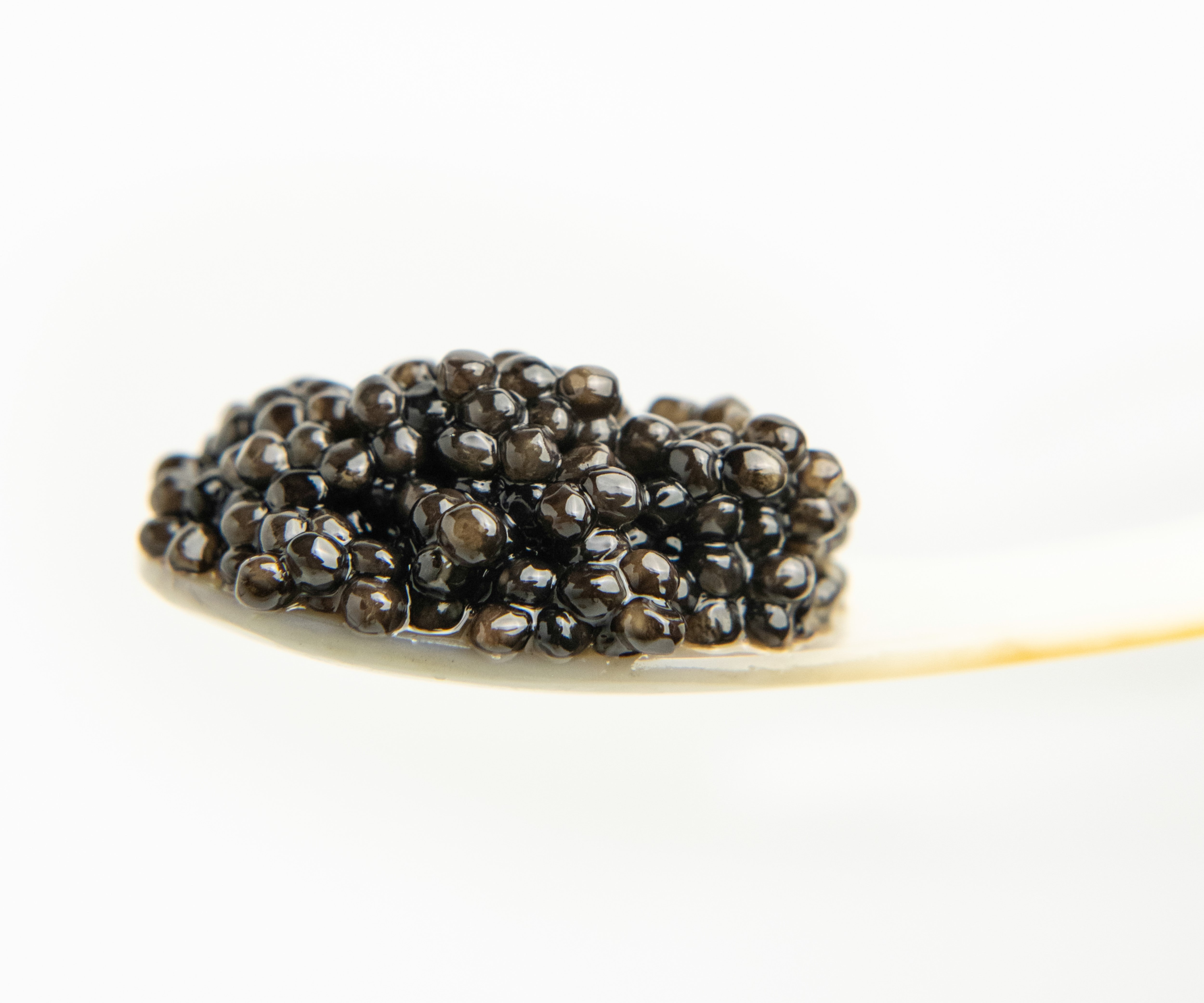 transparency on a spoon of siberian caviar