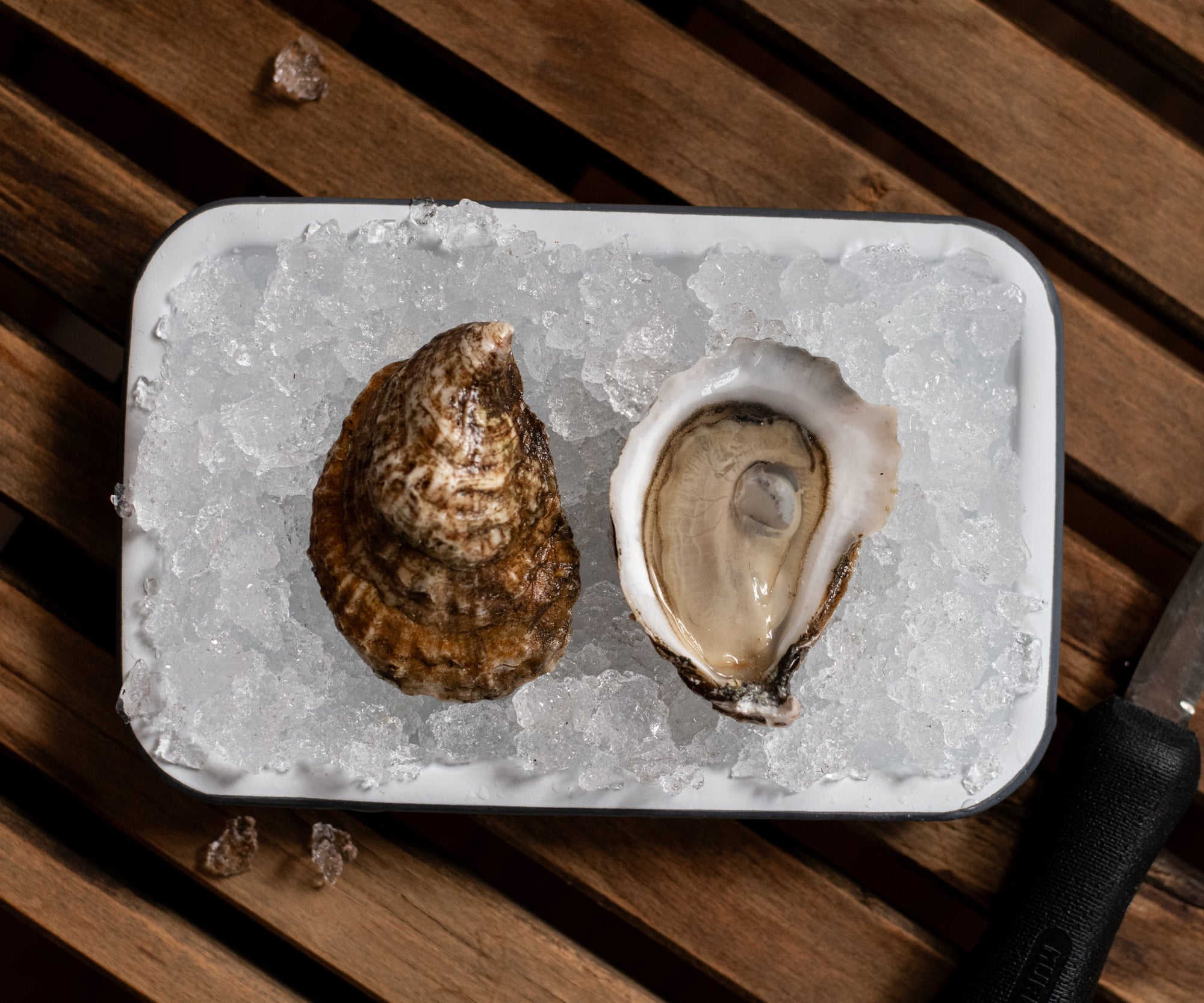 Walrus & Carpenter Oysters from Jamestown, RI