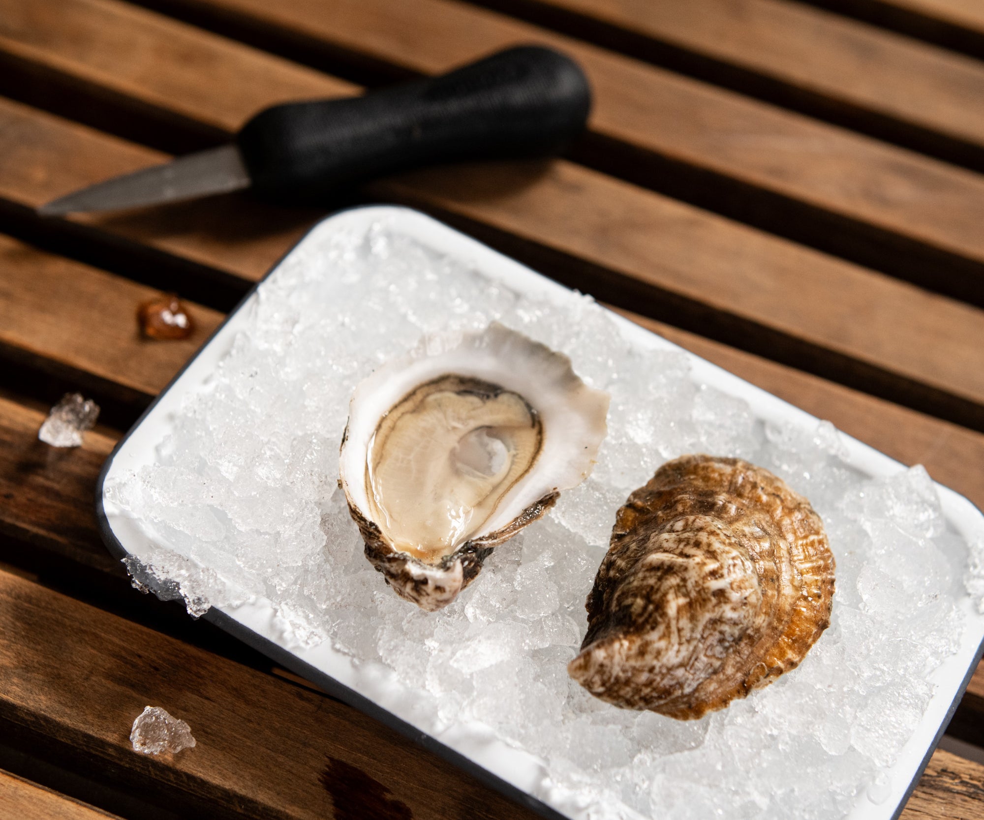 Walrus & Carpenter Oysters from Jamestown, RI