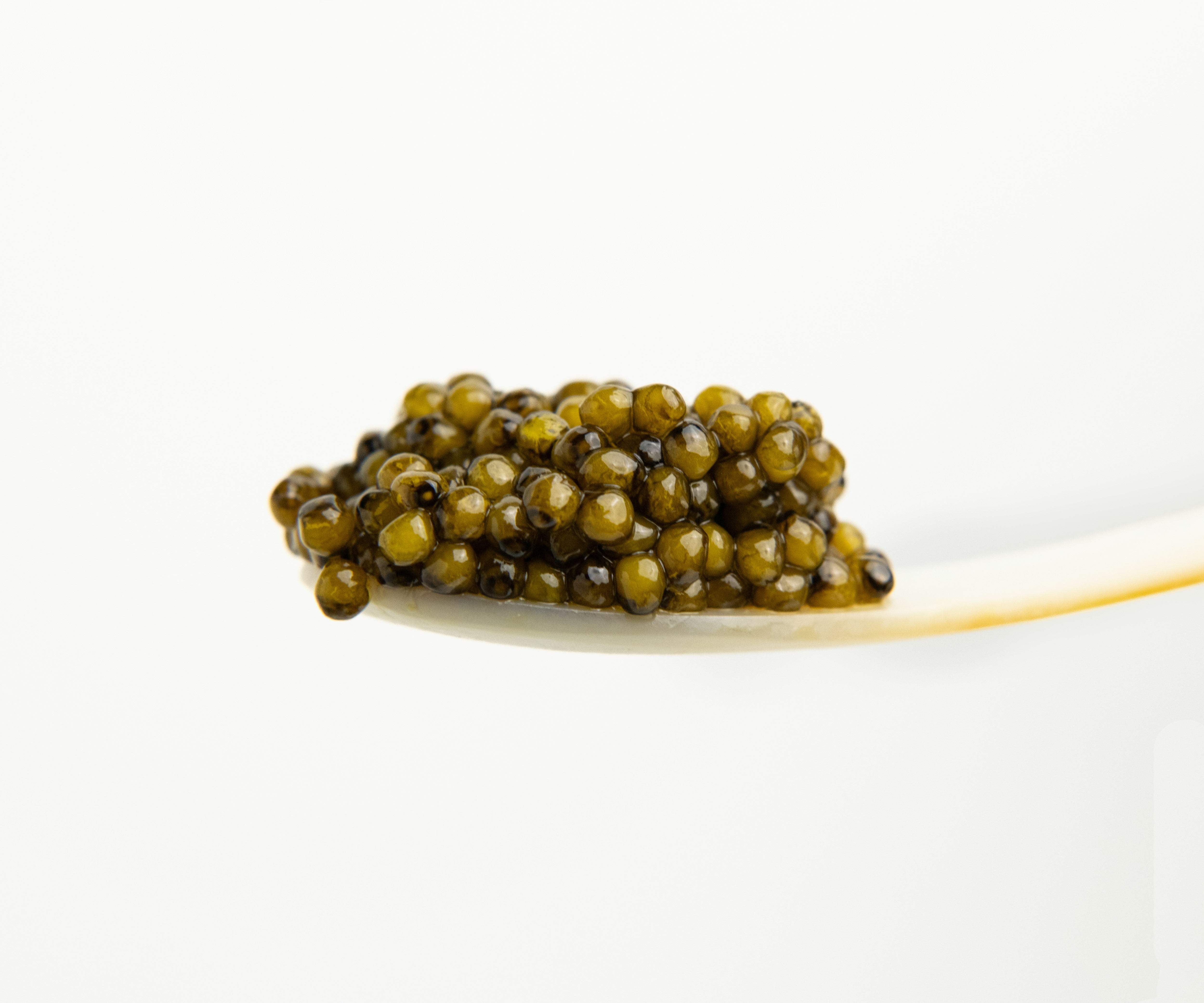Kaluga caviar