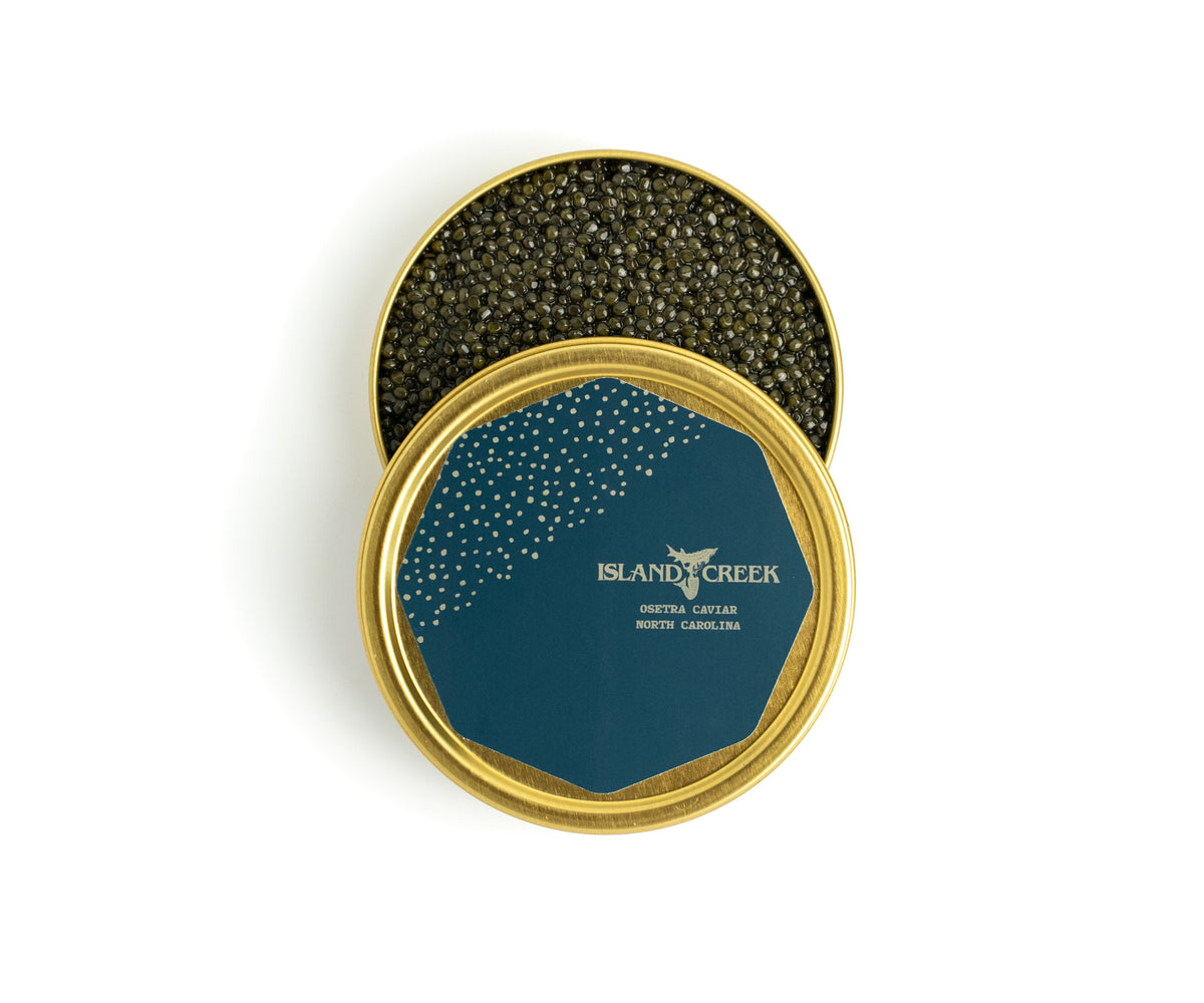 osetra caviar ossetra