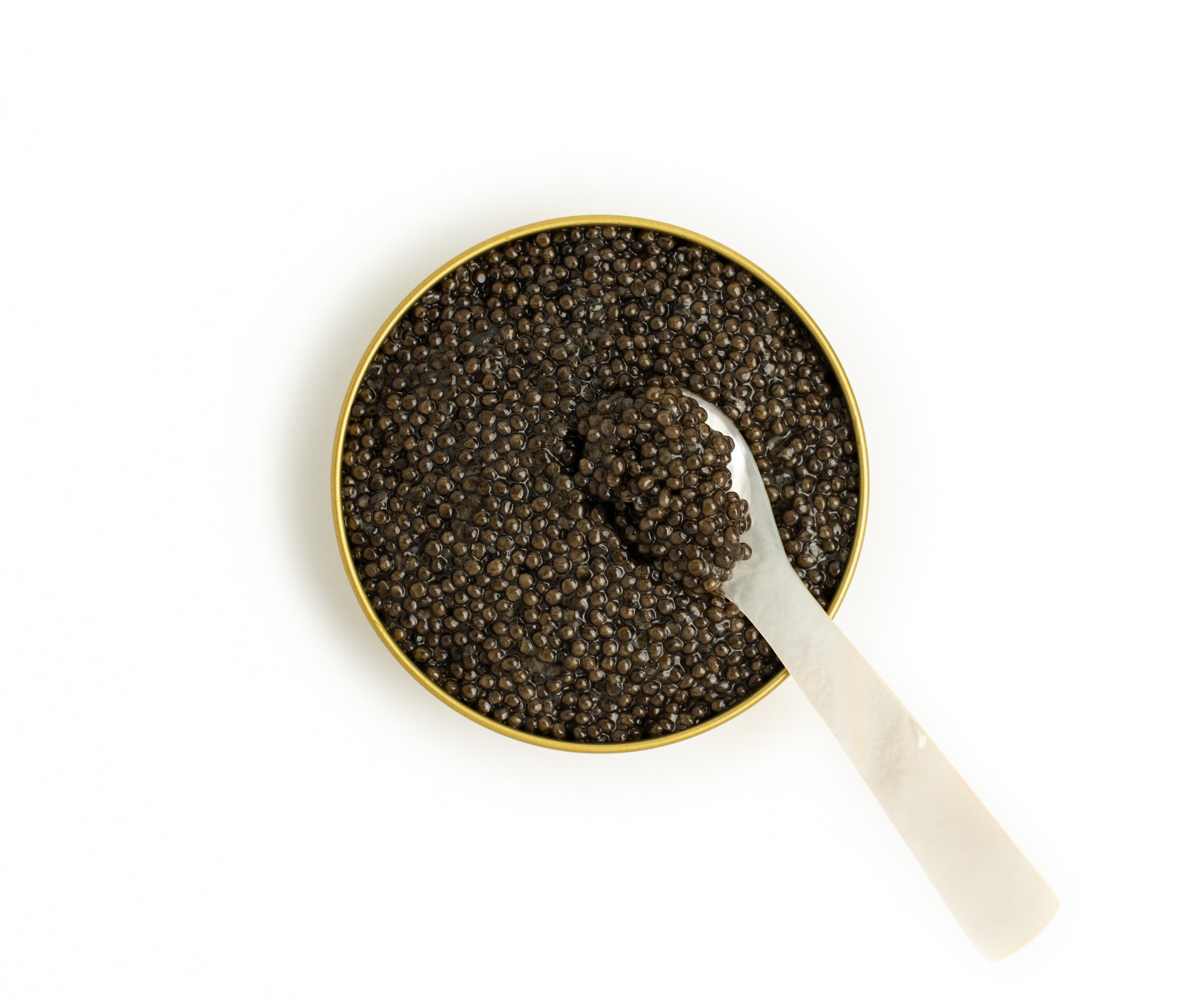 Island Creek European Osetra Caviar