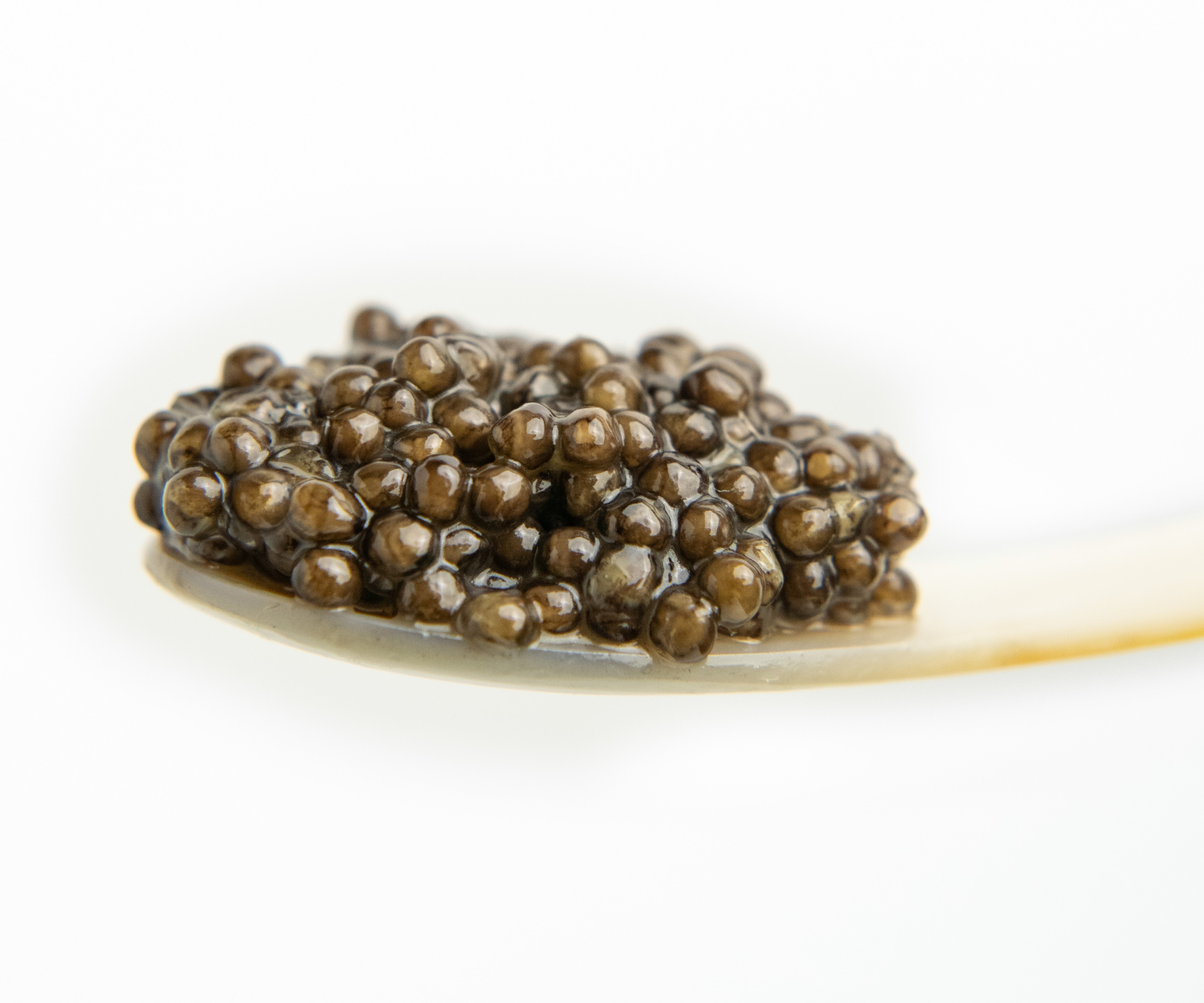 buy caviar online