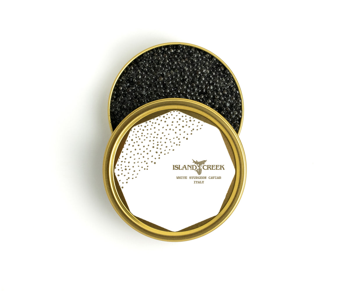 luxury white label on tin of Italian white sturgeon caviar