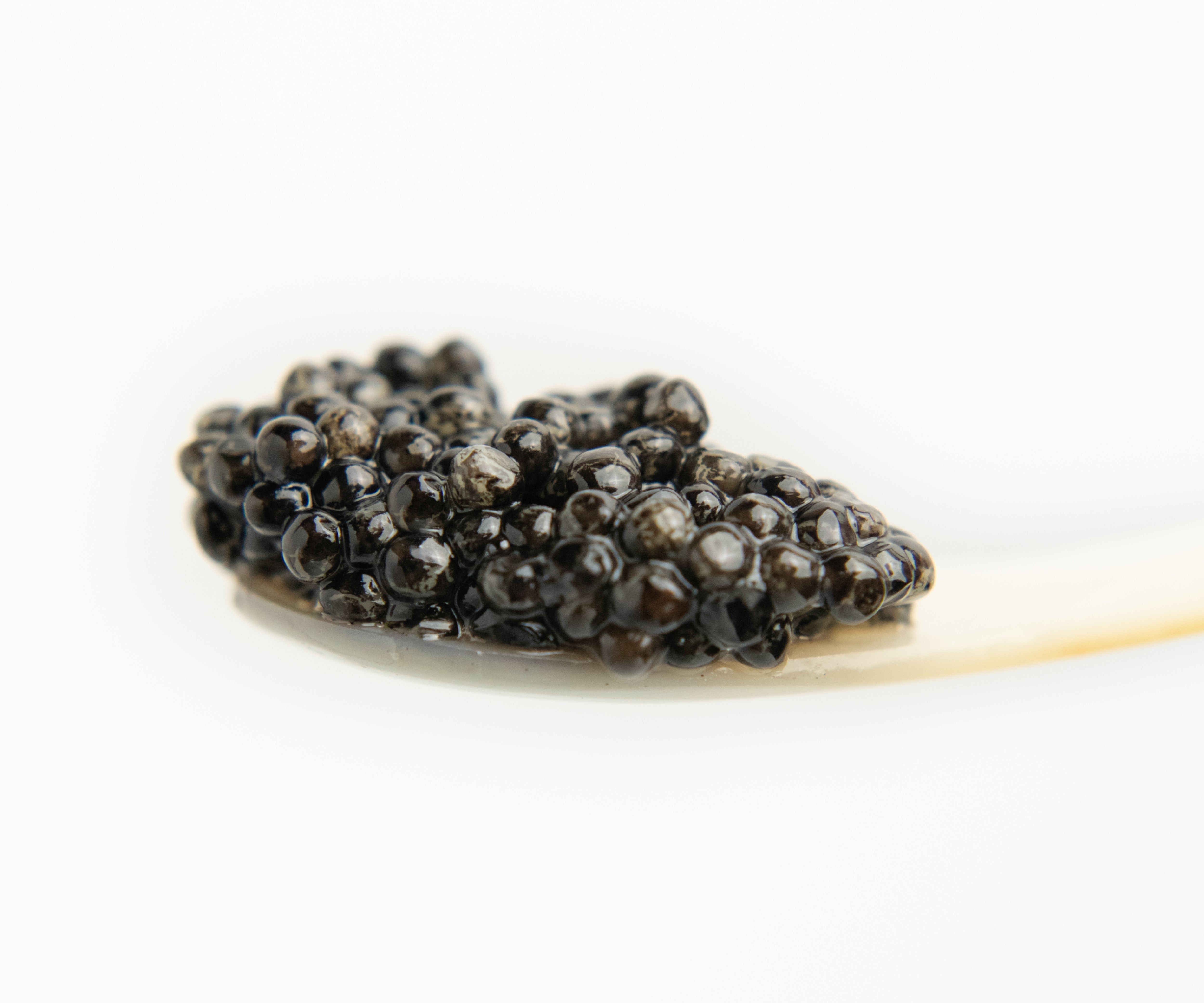 a spoonful of caviar in bright lighting