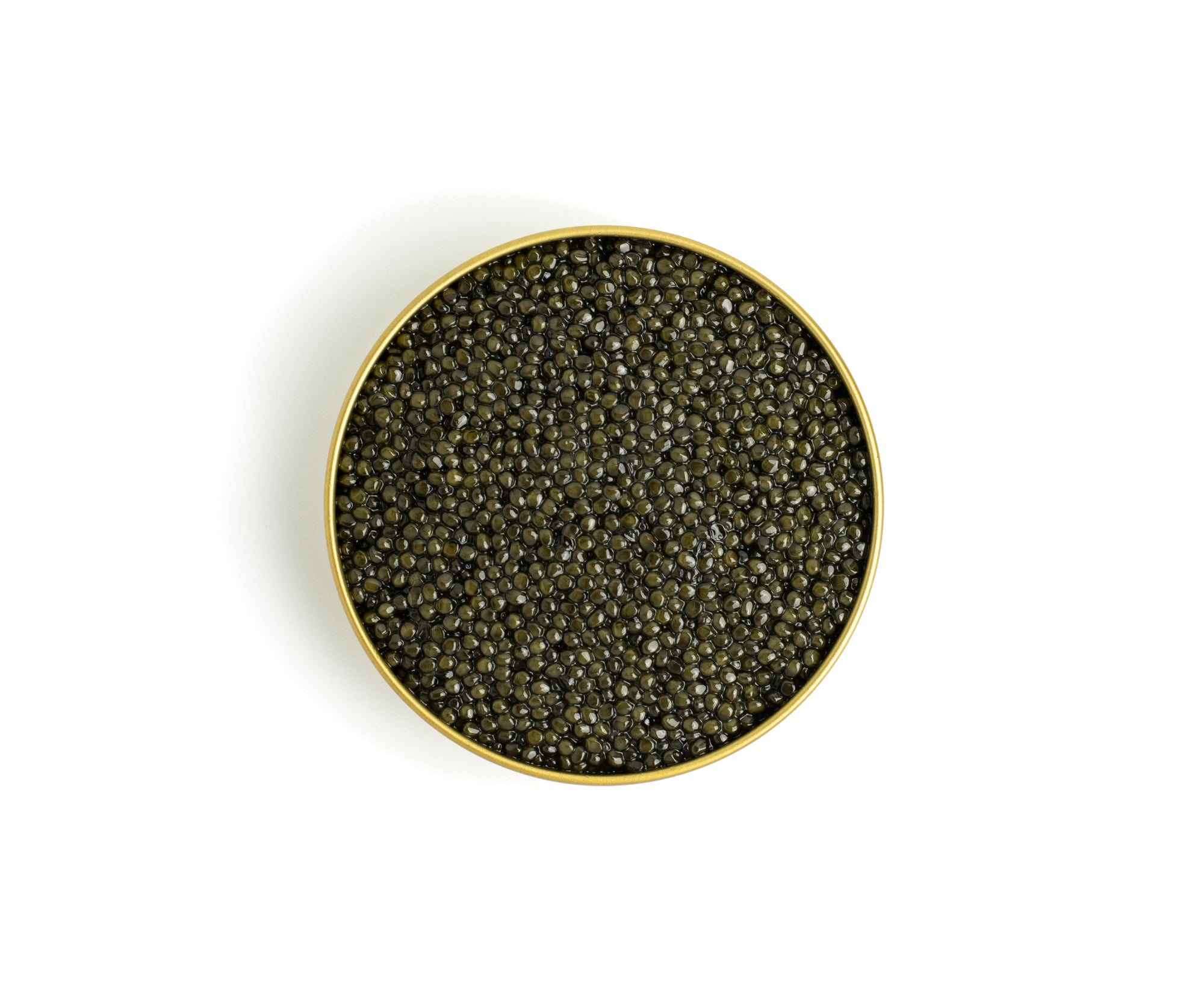 caviar free shipping