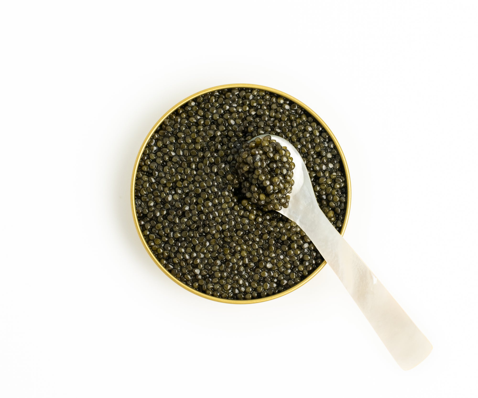 Island Creek American Osetra Caviar