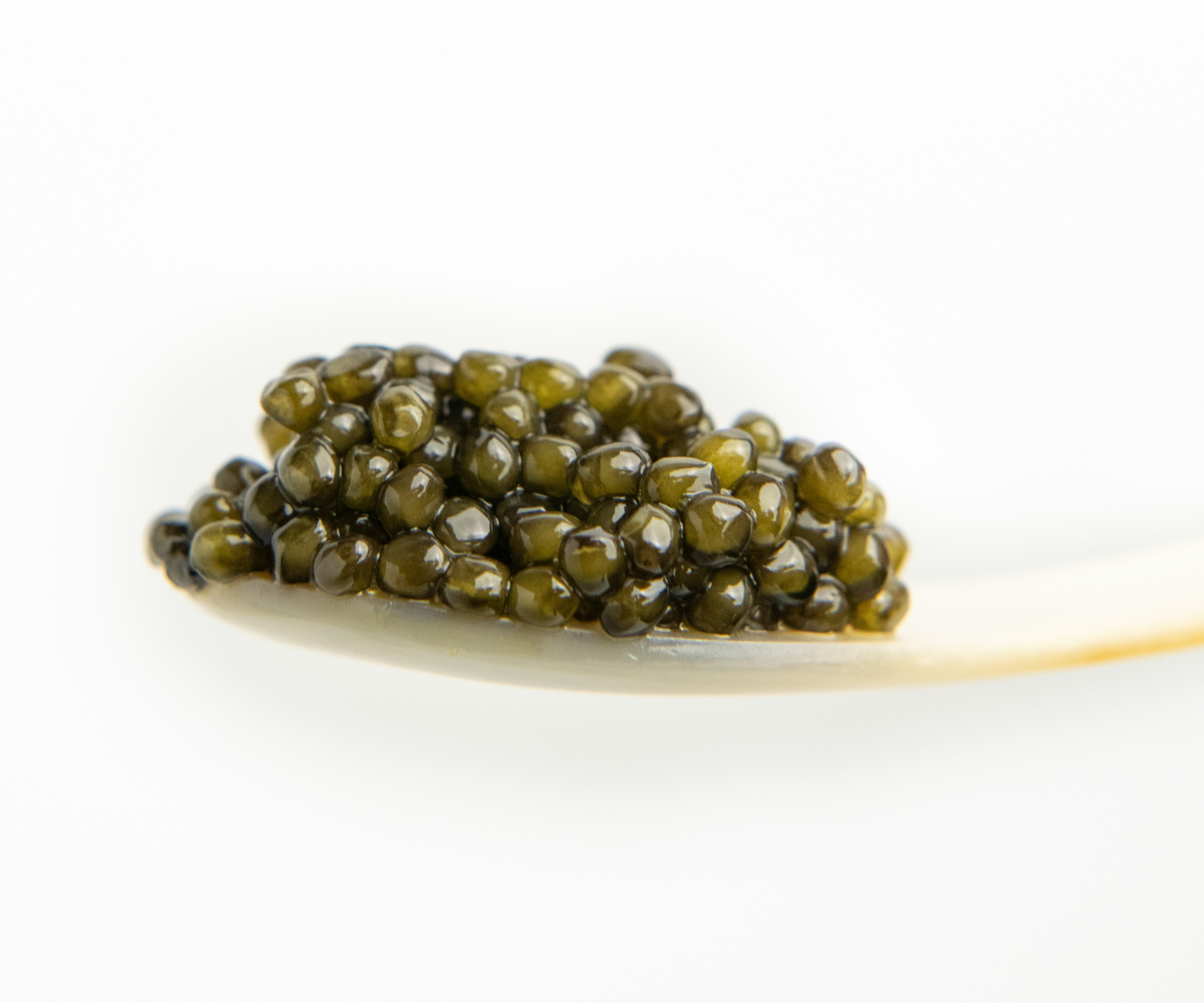 caviar