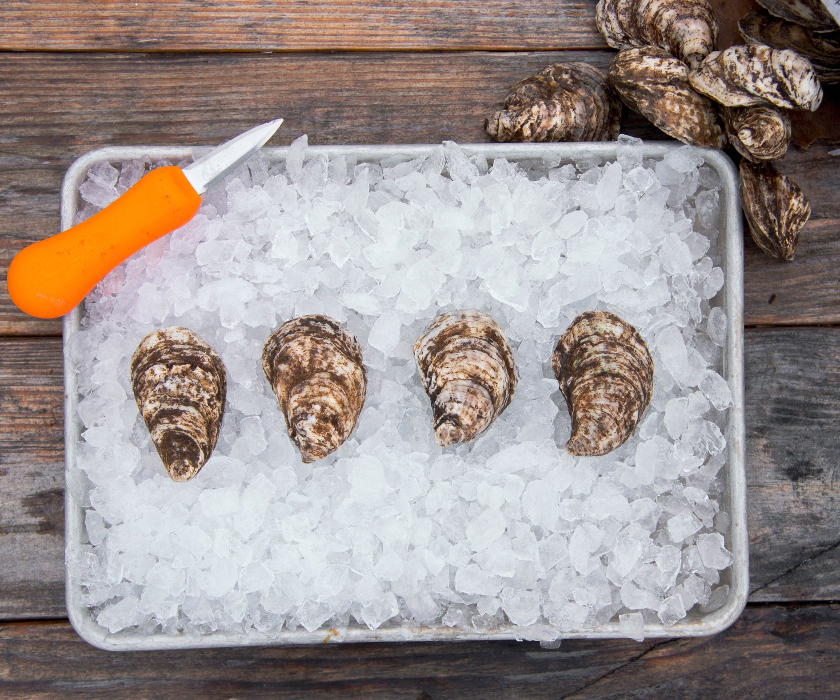 Salt Bay Oysters from Nova Scotia, CAN