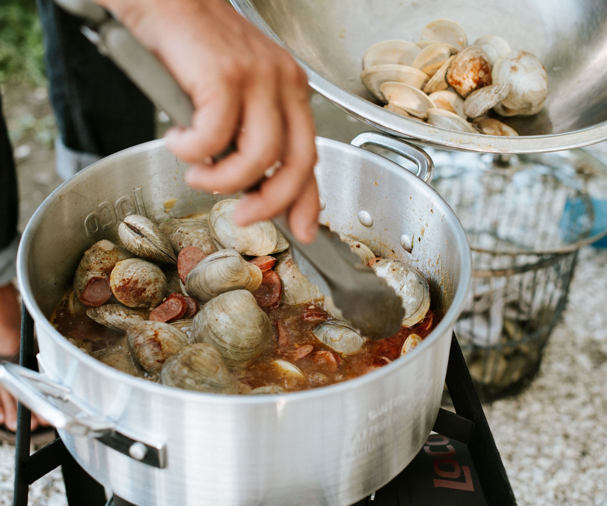 Wild Littleneck Clams