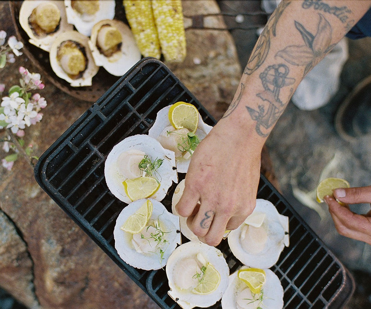 Live Sea Scallops from Penobscot Bay, ME