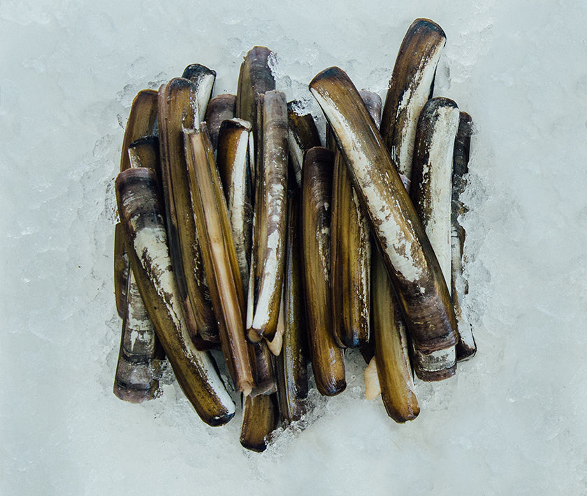 Wild In-Shell Razor Clams from Duxbury, MA