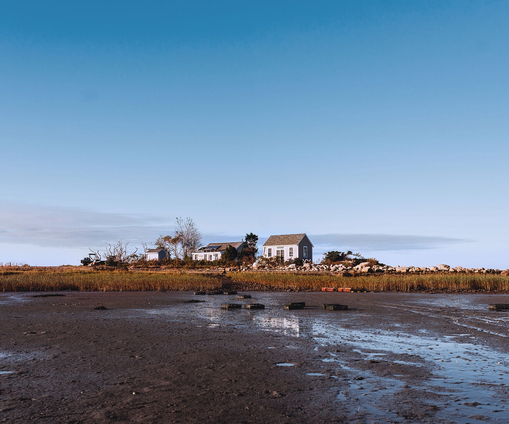 Aunt Dotty Oysters from Saquish, MA