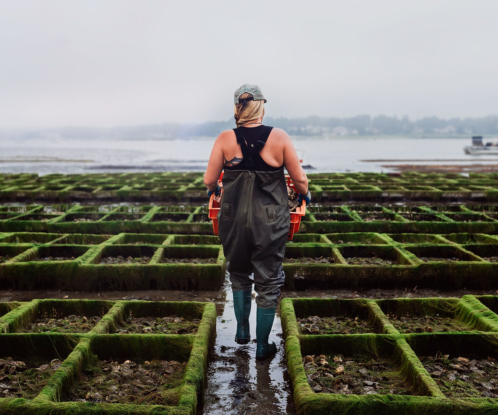 Row 34 Oysters from Duxbury, MA