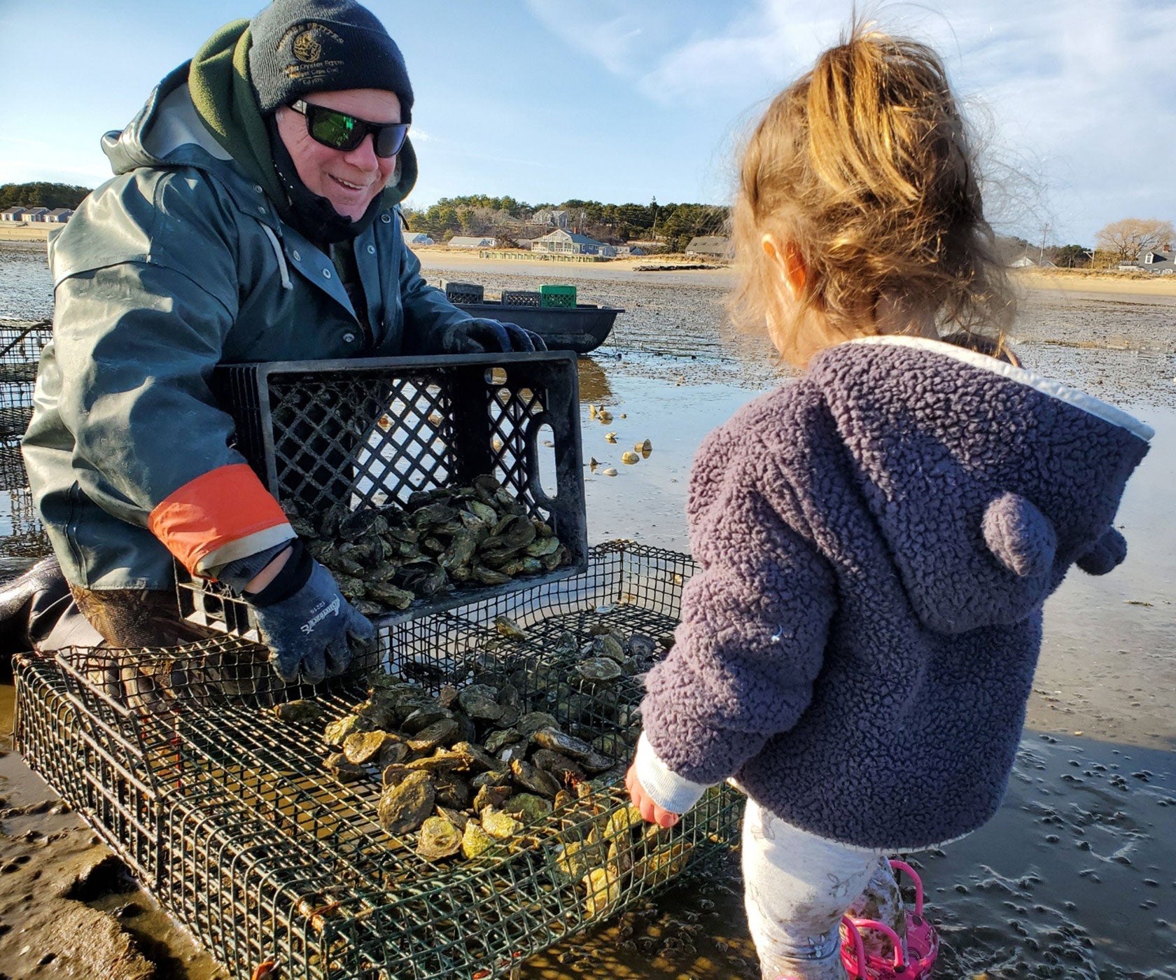 Wellfleet Oysters from Wellfleet, MA