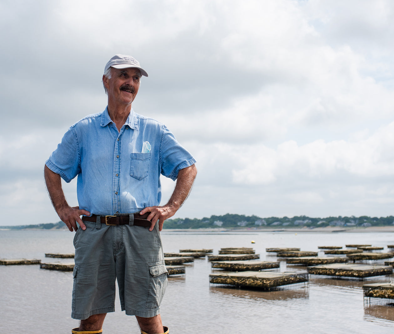 Paines Creek Oysters from Brewster, MA