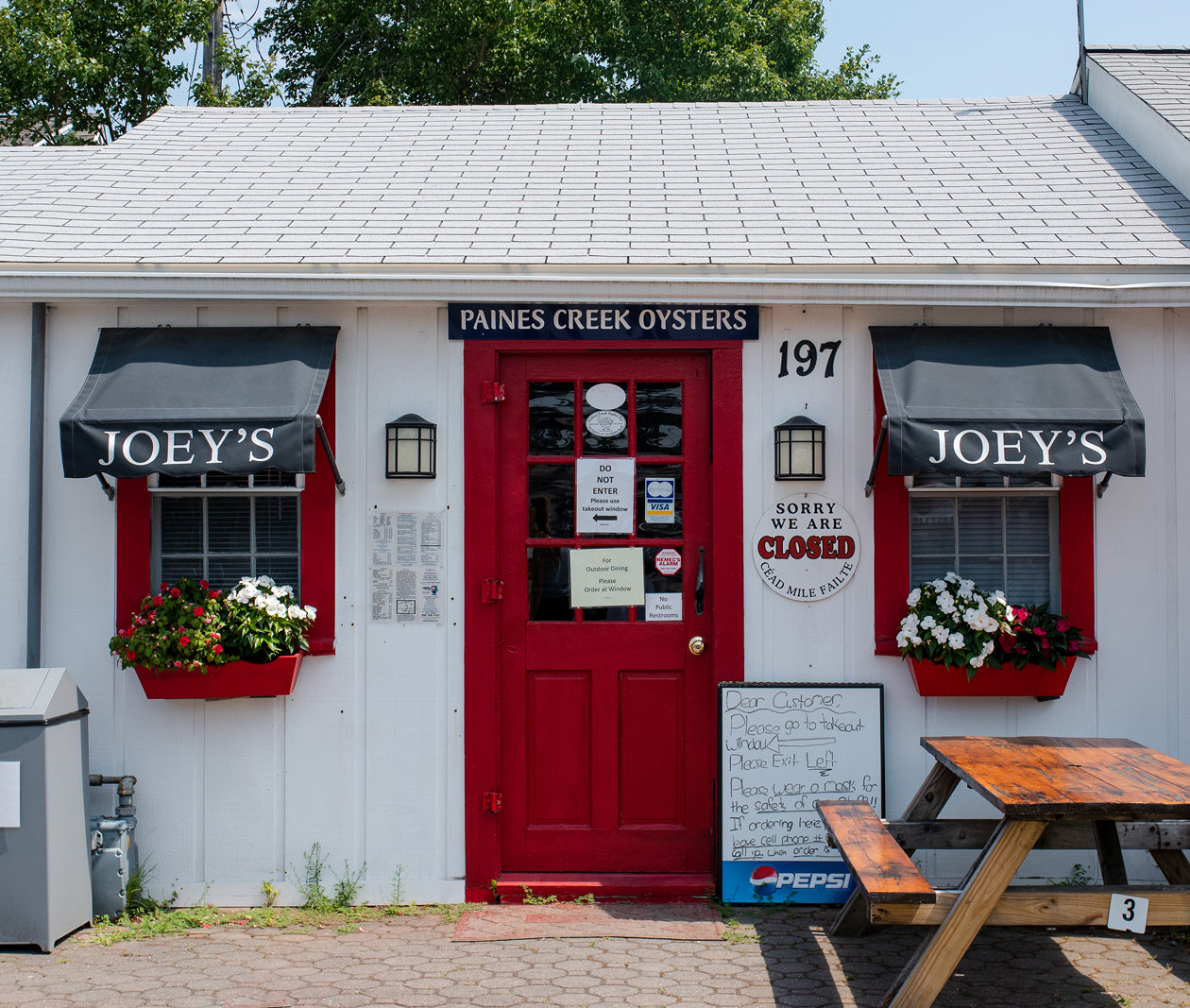 Paines Creek Oysters from Brewster, MA