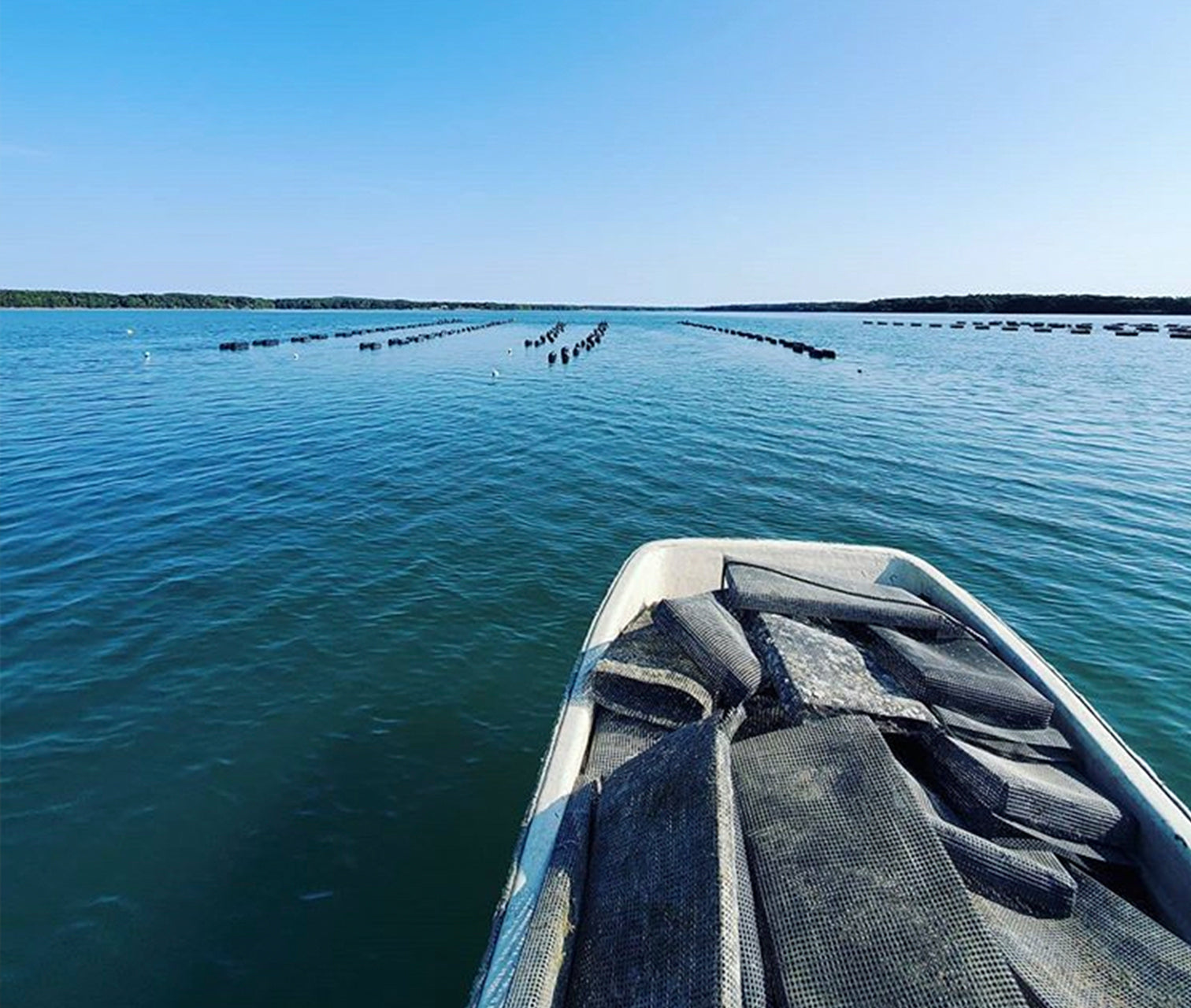 Mere Point Oysters from Brunswick, Maine