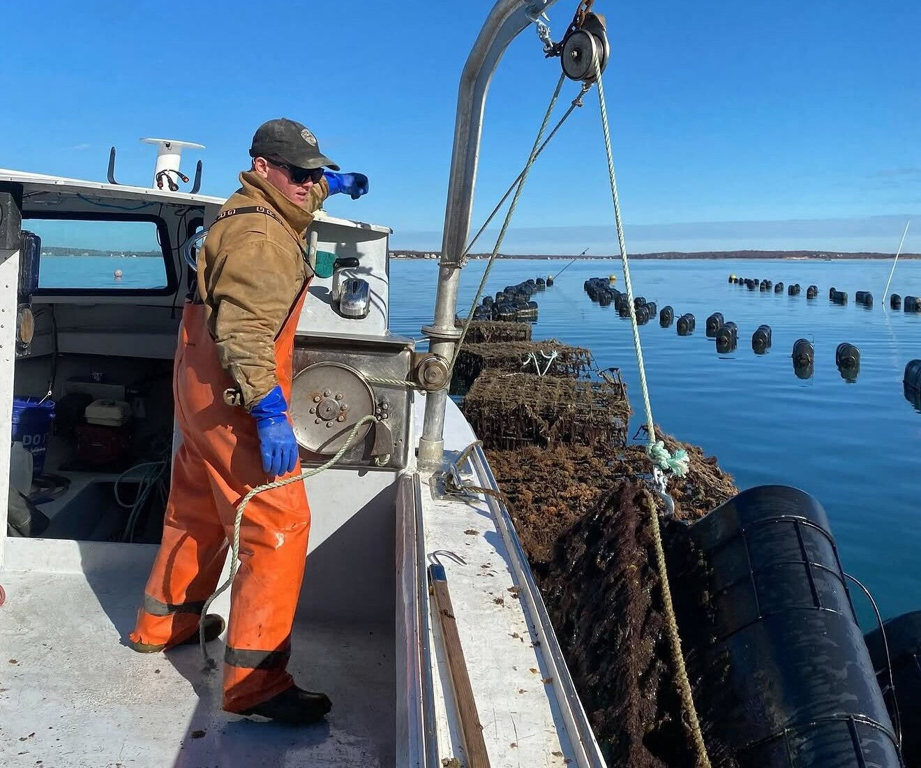 Davy Jones Oysters from Cutchogue, NY
