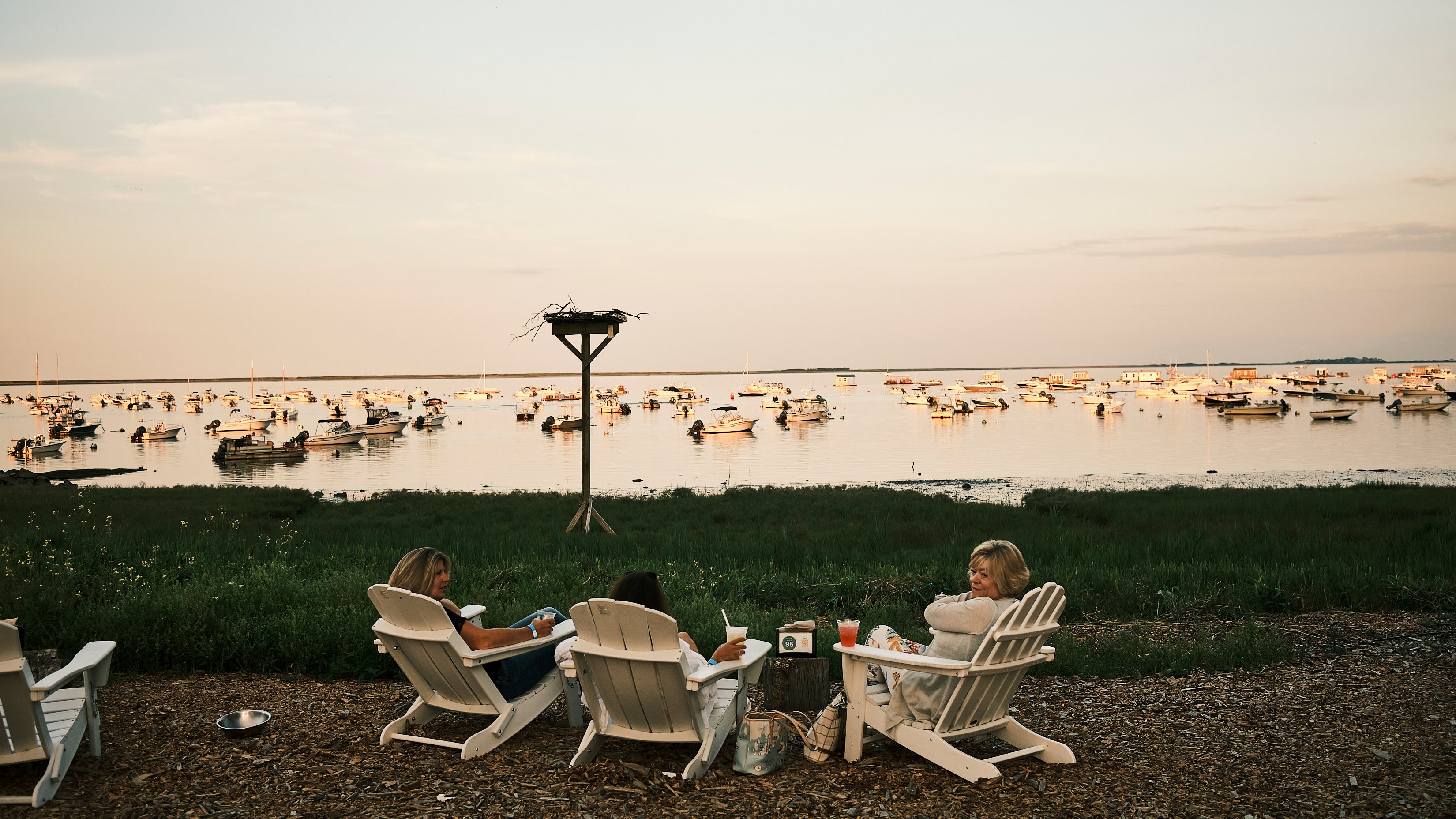 The Raw Bar at Island Creek Oyster Farm - Island Creek Oysters | Buy ...