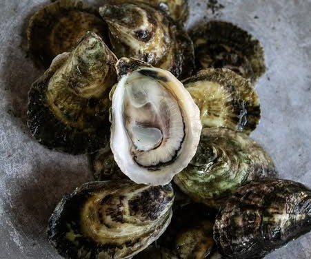 Dukes of Topsail Oysters from Hampstead, NC