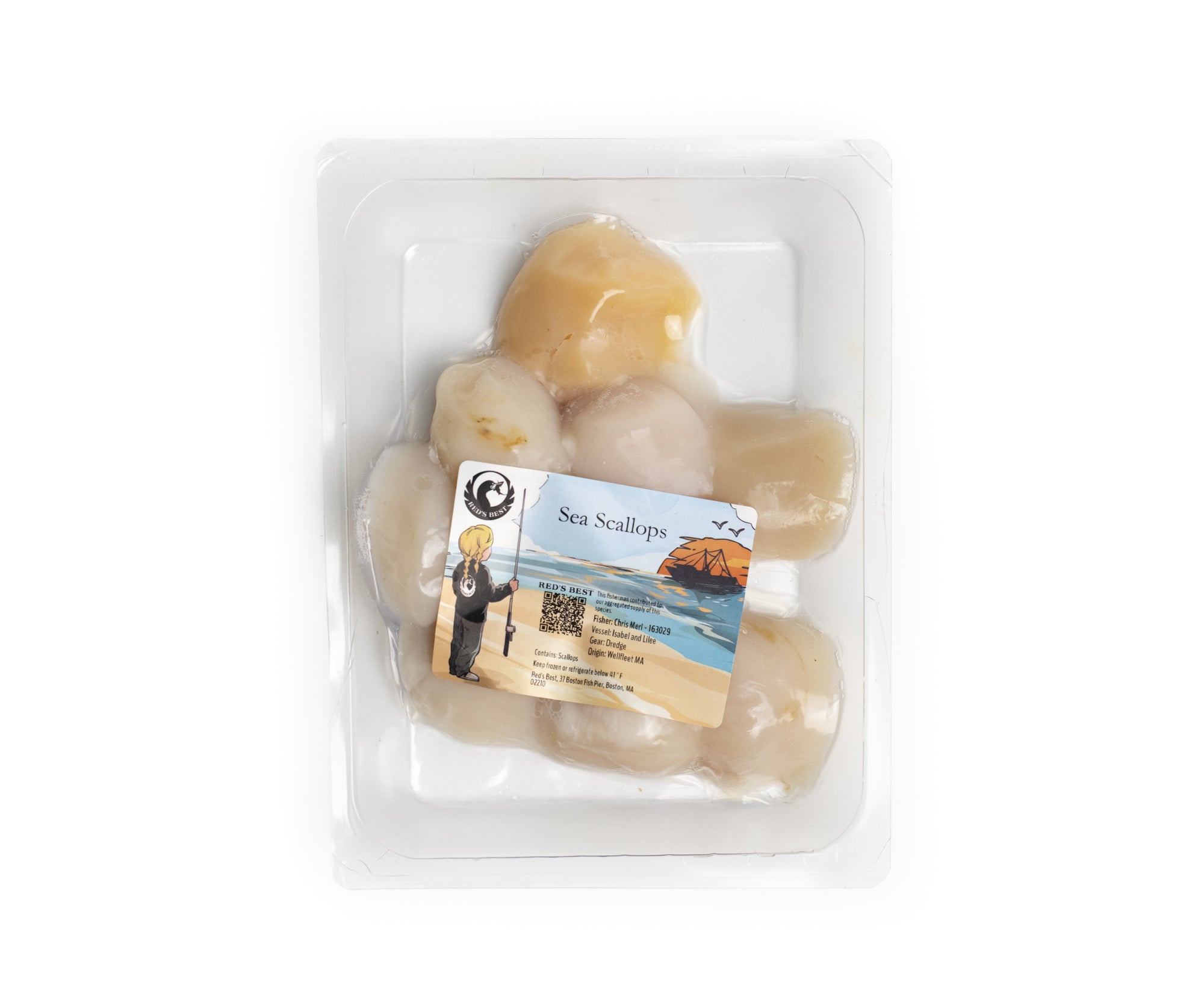 Massachusetts U10 Sea Scallops, 2 Pounds