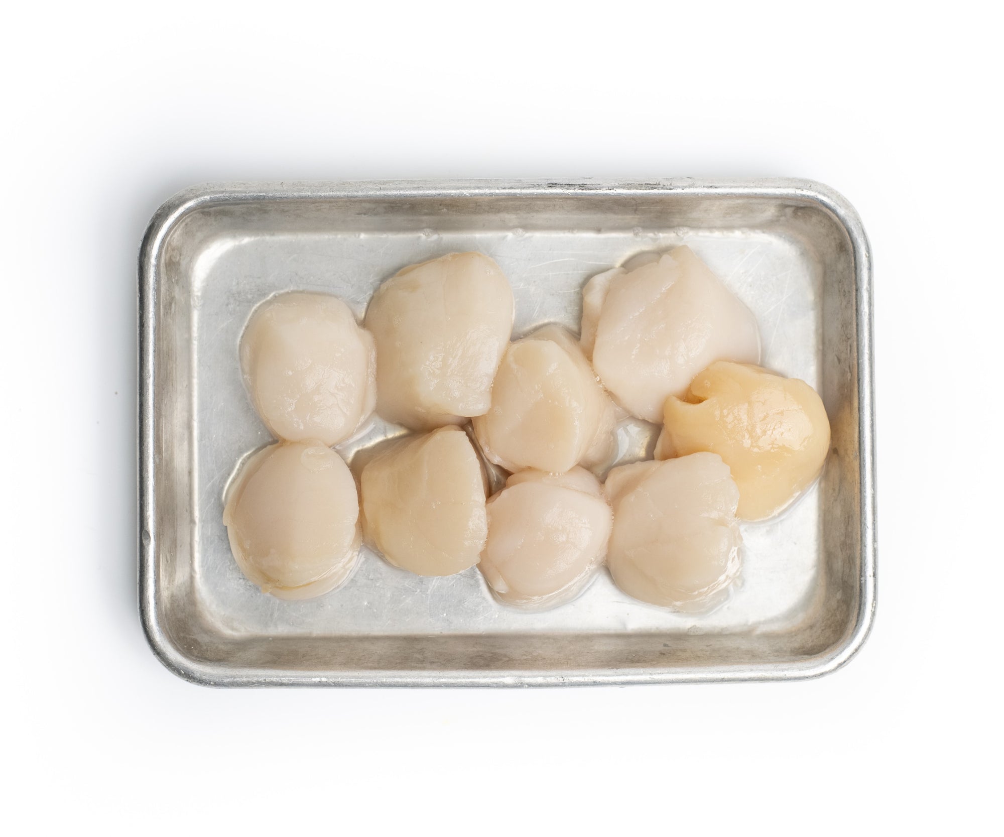 Massachusetts U10 Sea Scallops, 2 Pounds