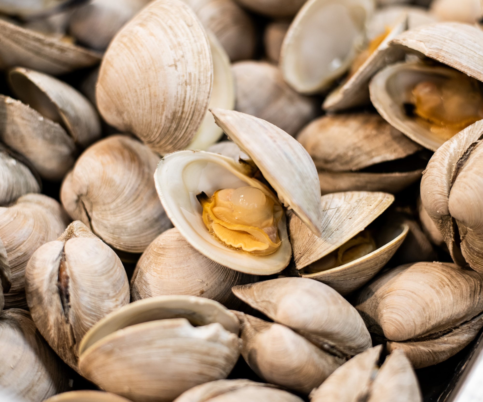 Island Creek Littleneck Clams with Confit Garlic, Chili & Olive Oil