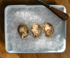 Whitehaven Oysters from Nova Scotia, CAN - Island Creek Oysters