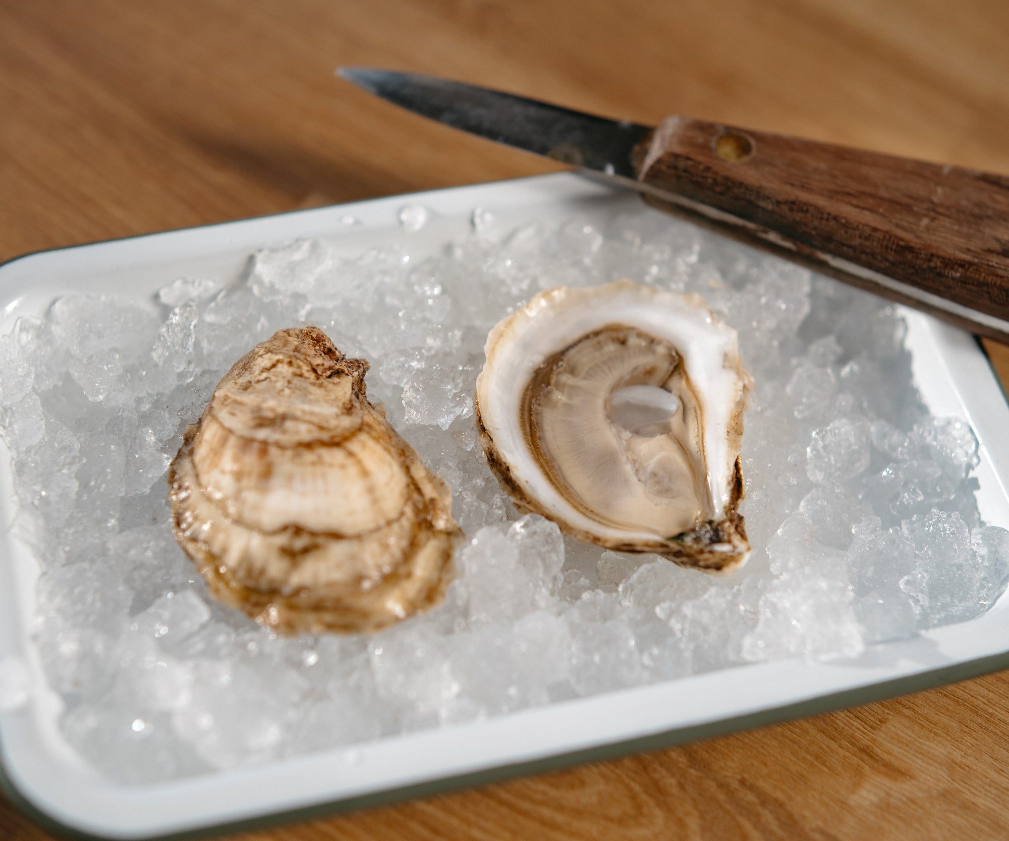 Whitehaven Oysters from Nova Scotia, CAN