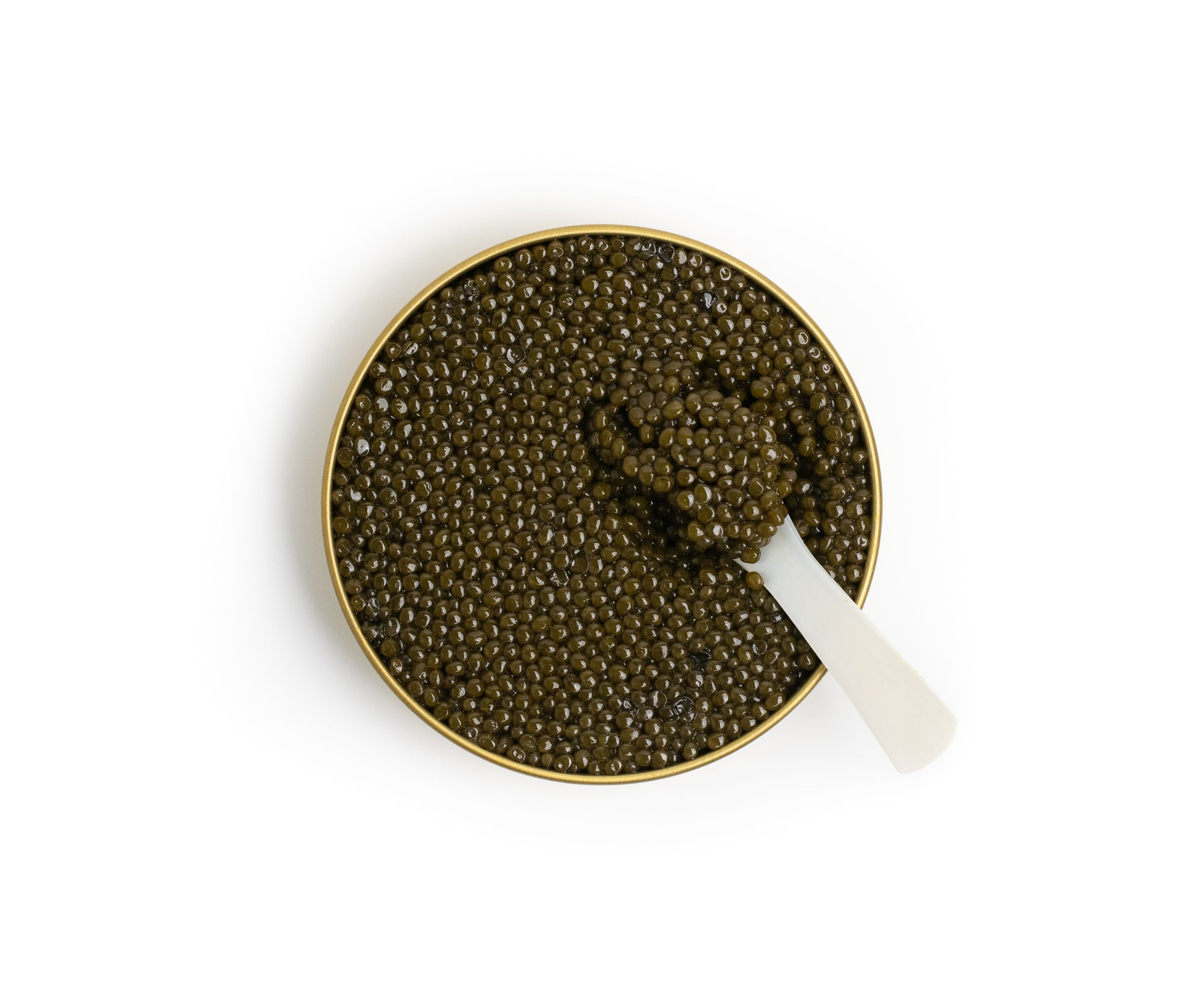 Island Creek Kaluga Osetra Caviar