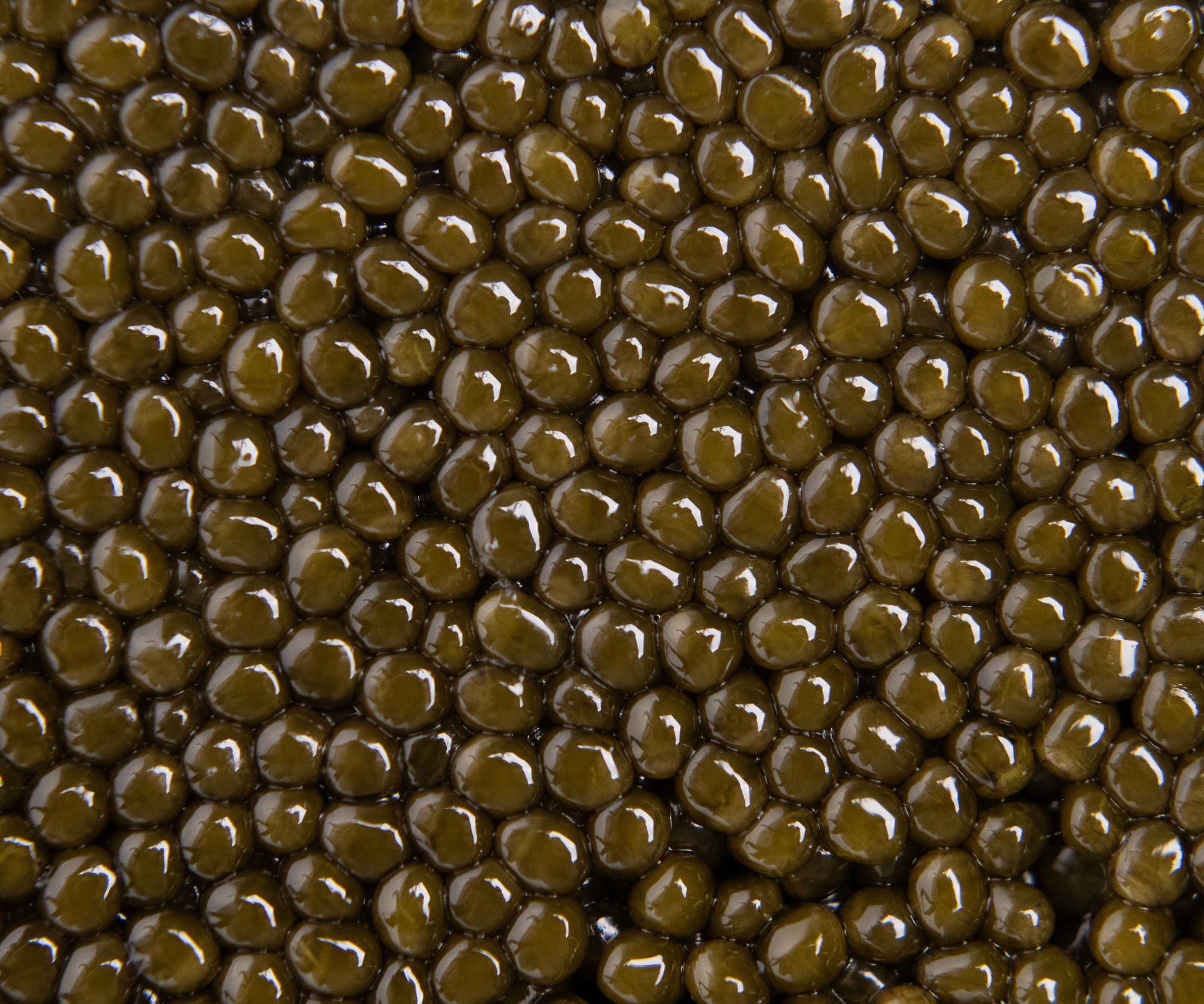 Island Creek Kaluga Osetra Caviar