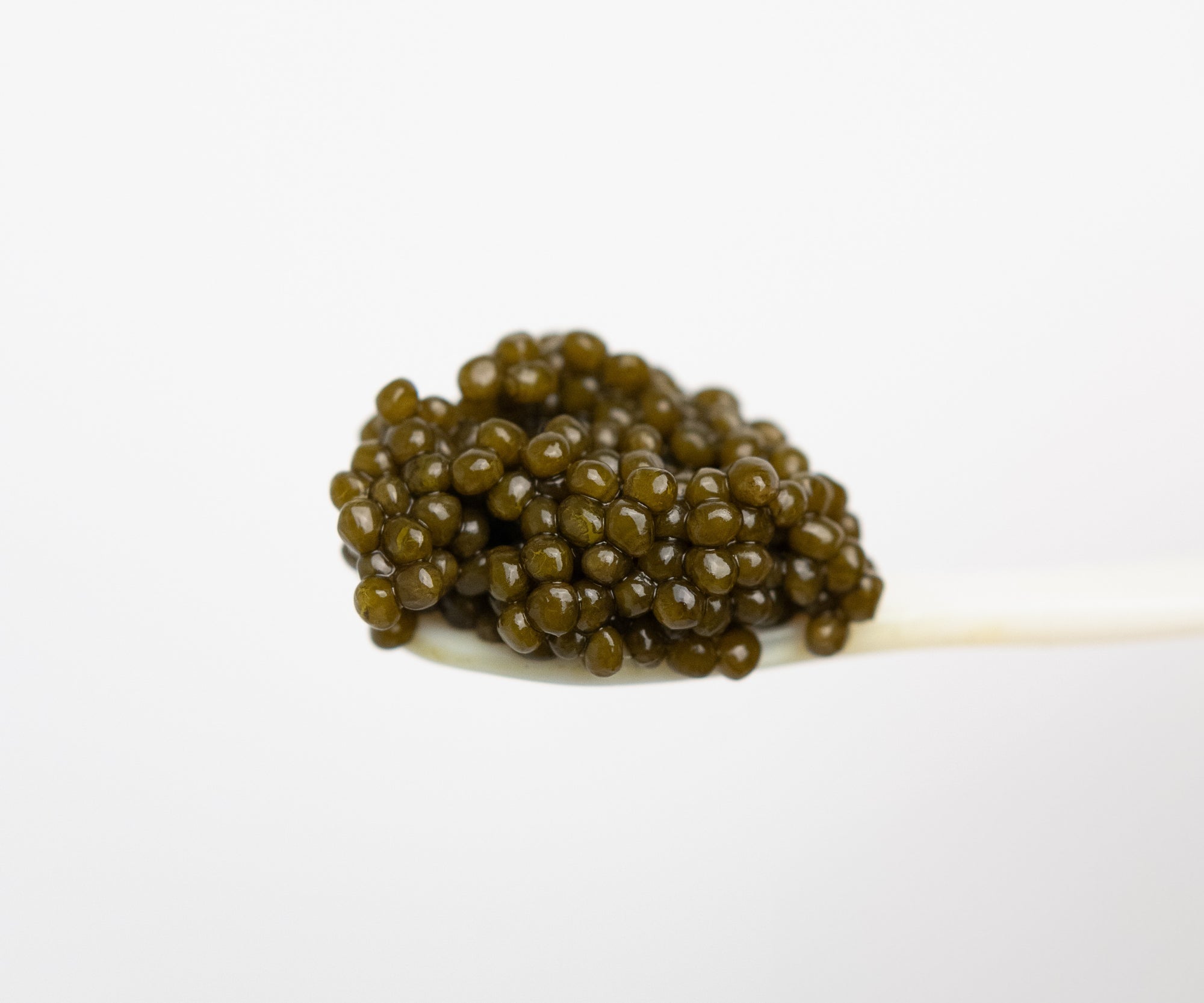 Island Creek Kaluga Osetra Caviar
