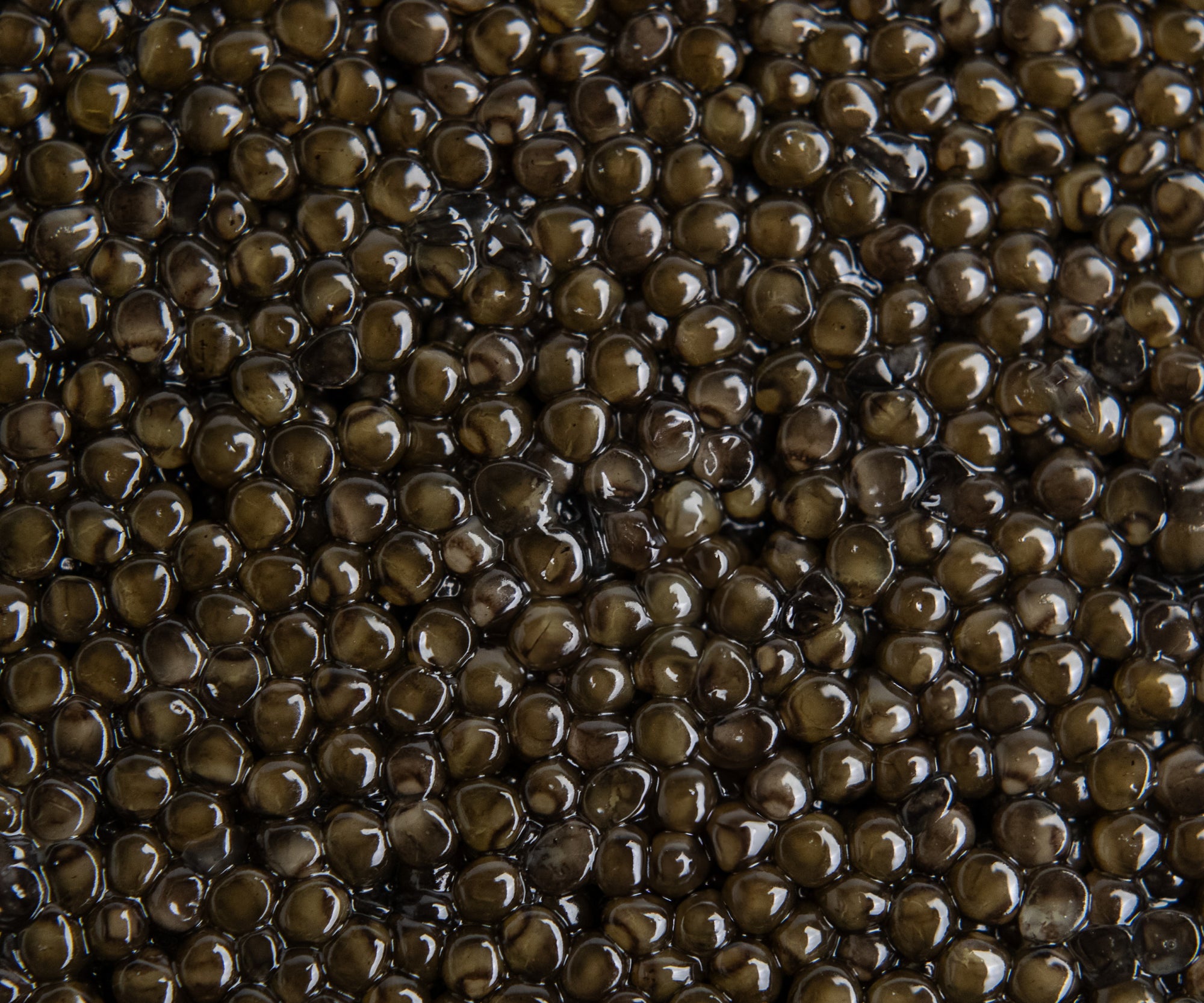 Uruguayan Osetra Caviar