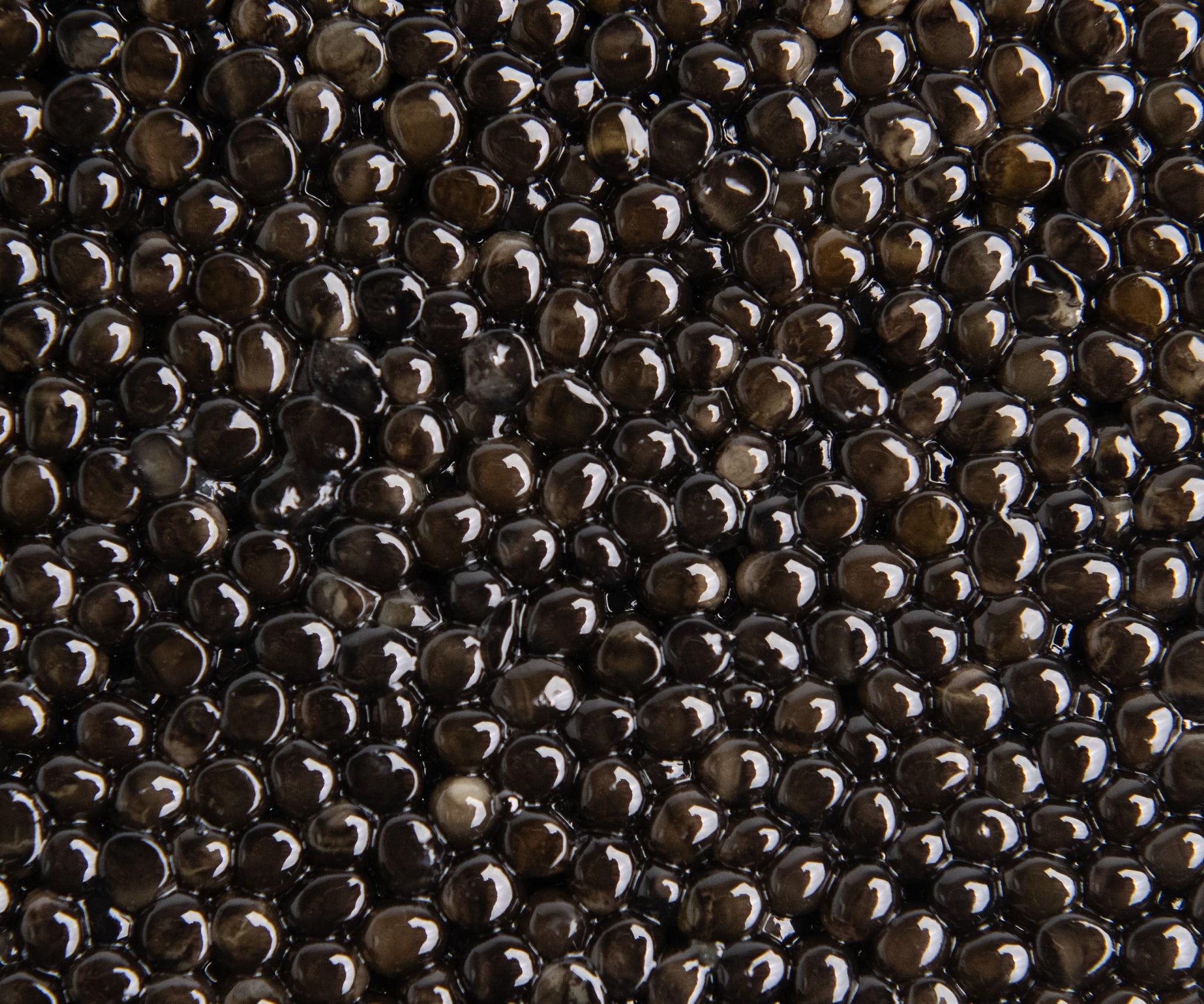 Uruguayan Siberian Caviar