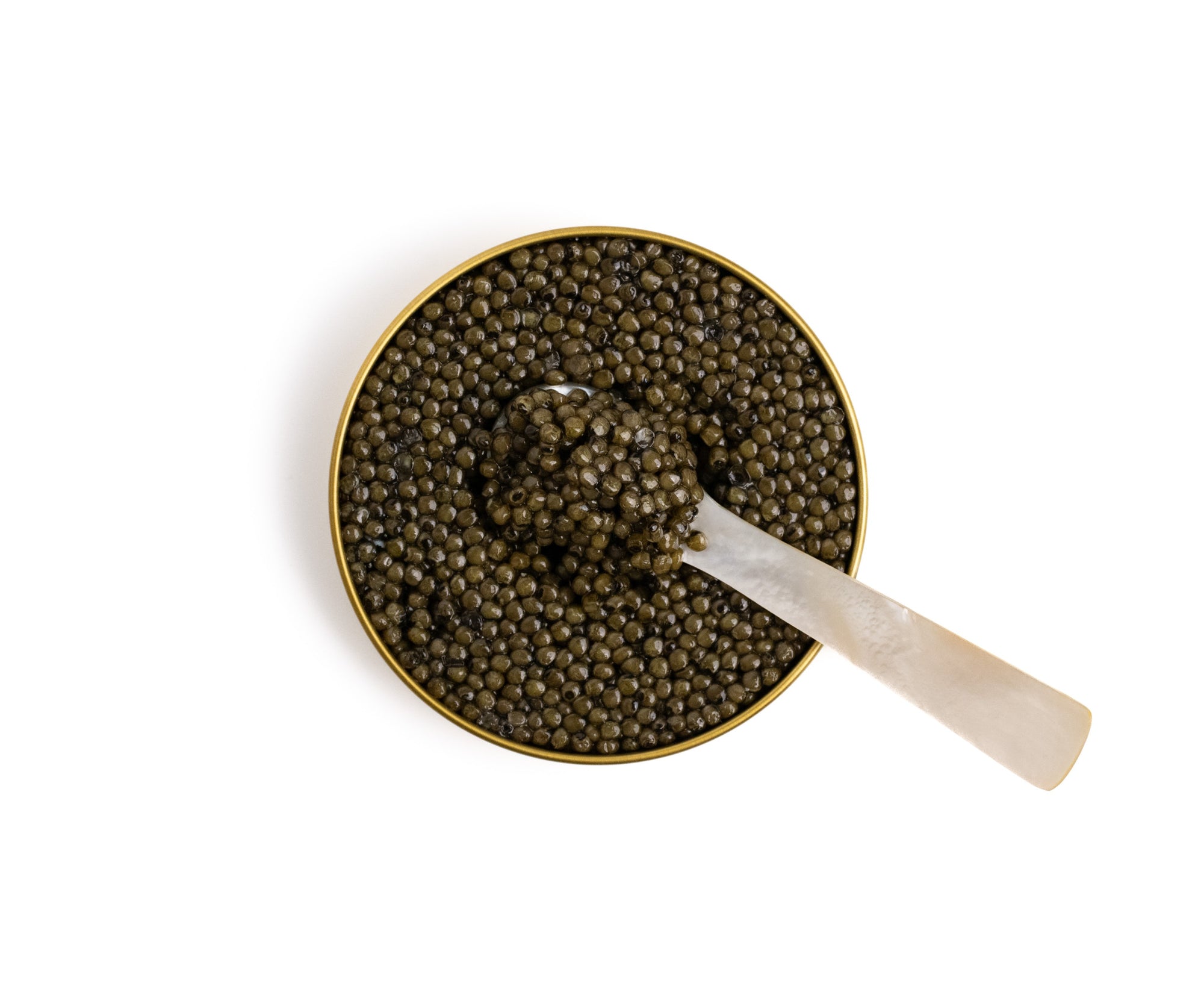 Island Creek Polish Osetra Caviar