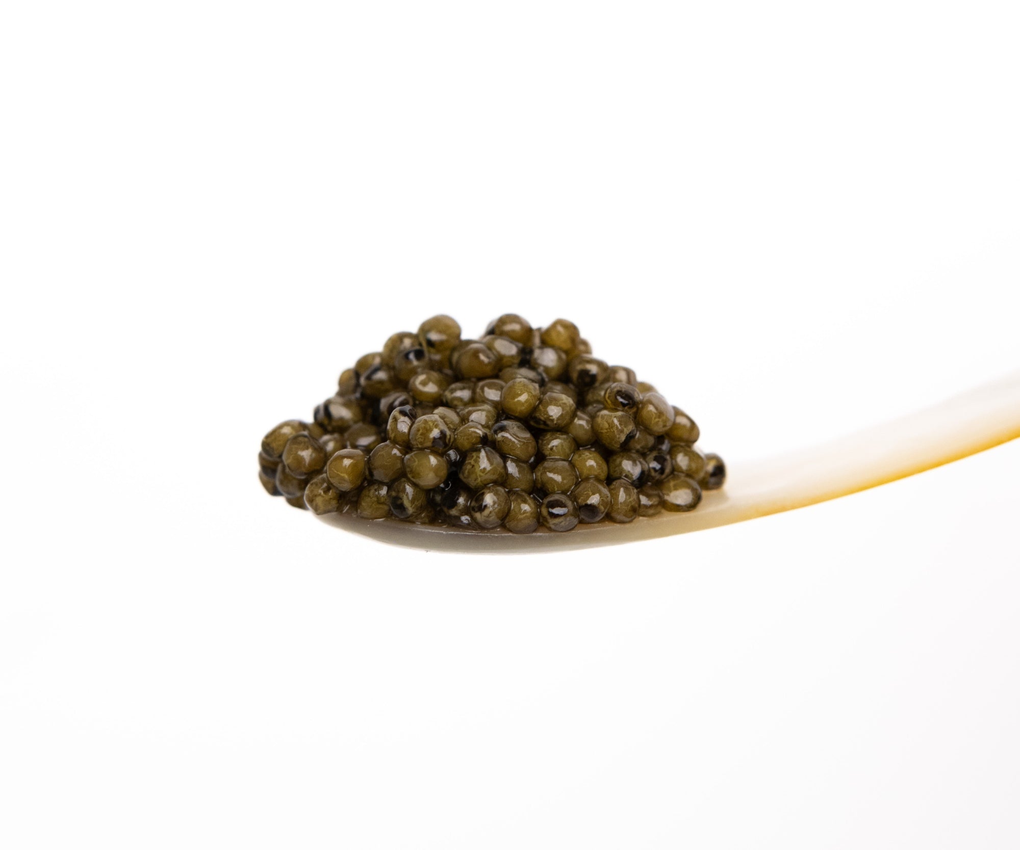 Island Creek Polish Osetra Caviar