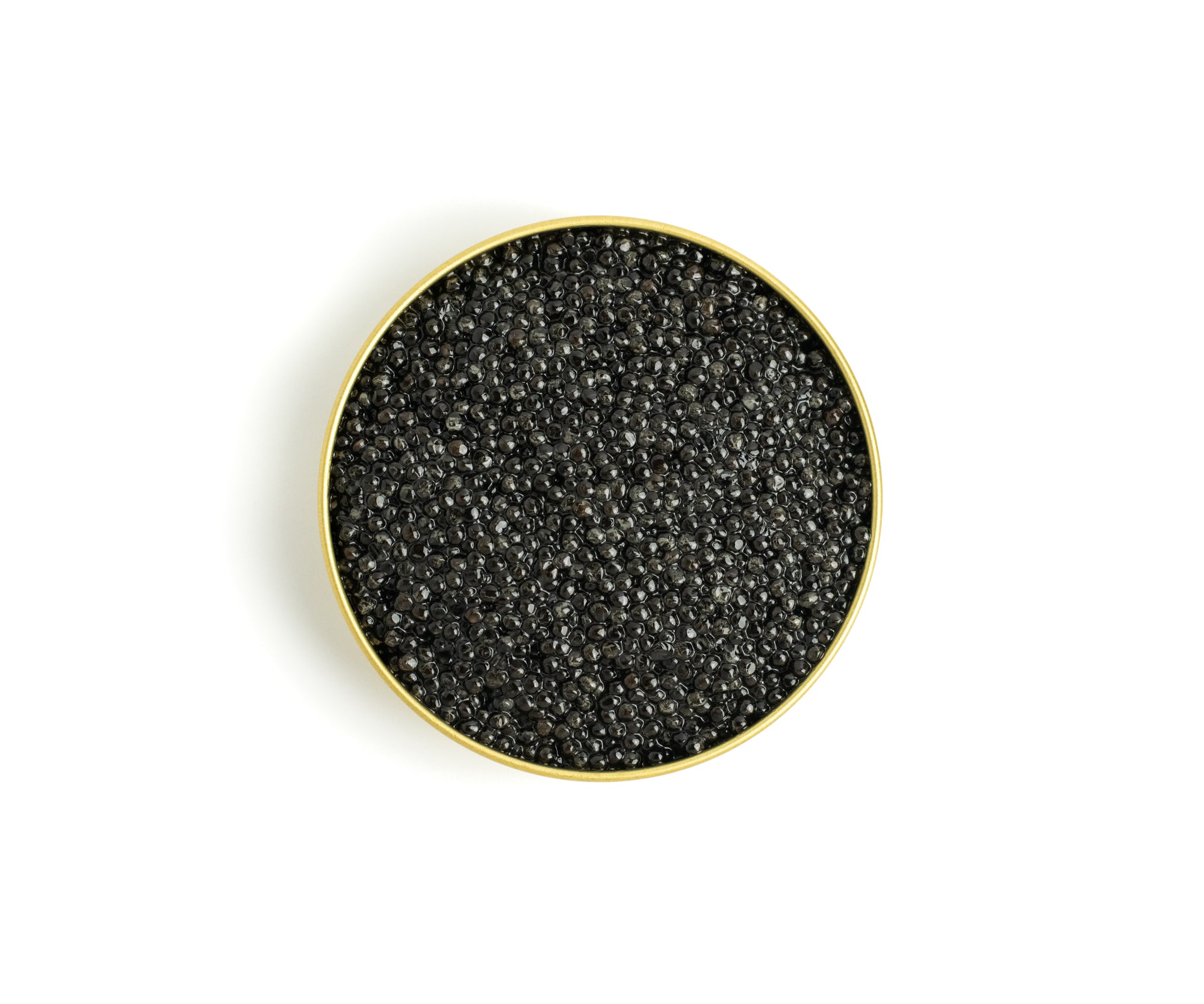 Adamas White Sturgeon Caviar from Pandino, Italy