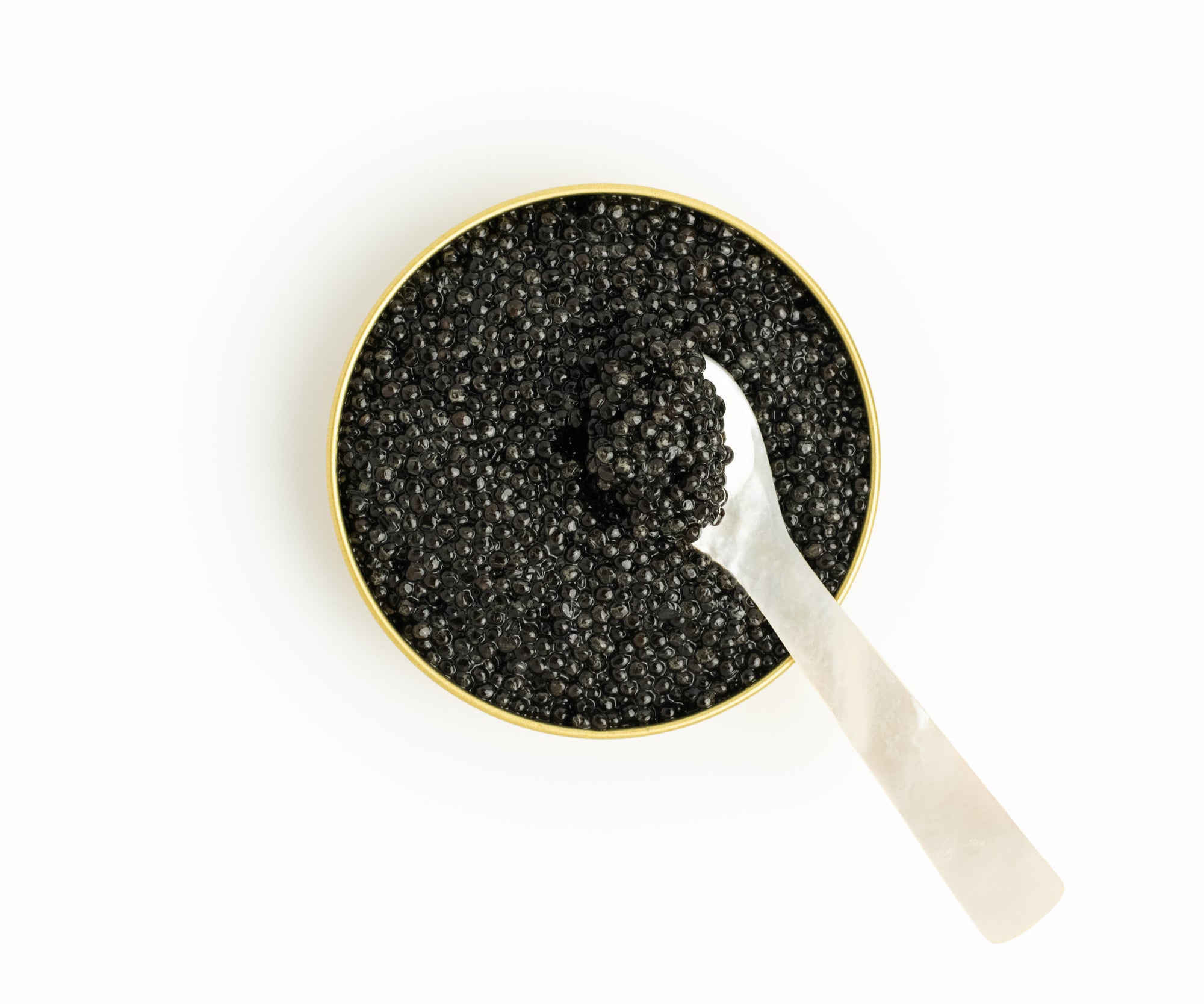 Adamas White Sturgeon Caviar from Pandino, Italy