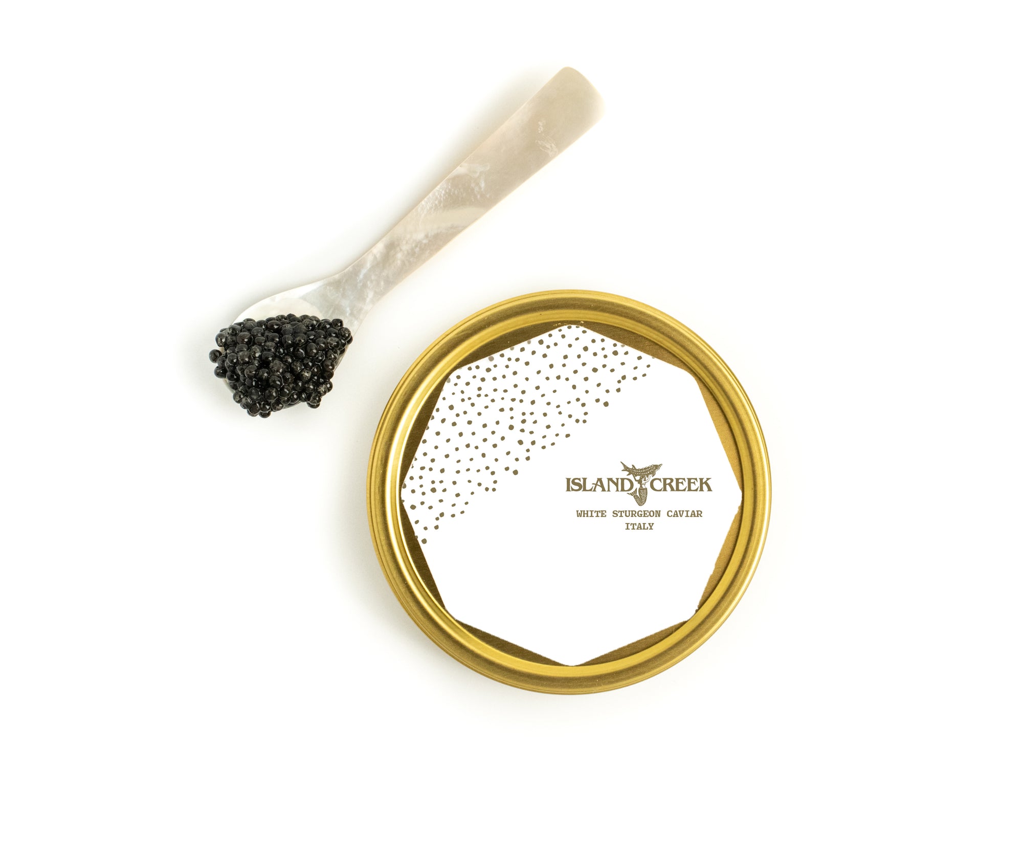 Island Creek Italian White Sturgeon Caviar