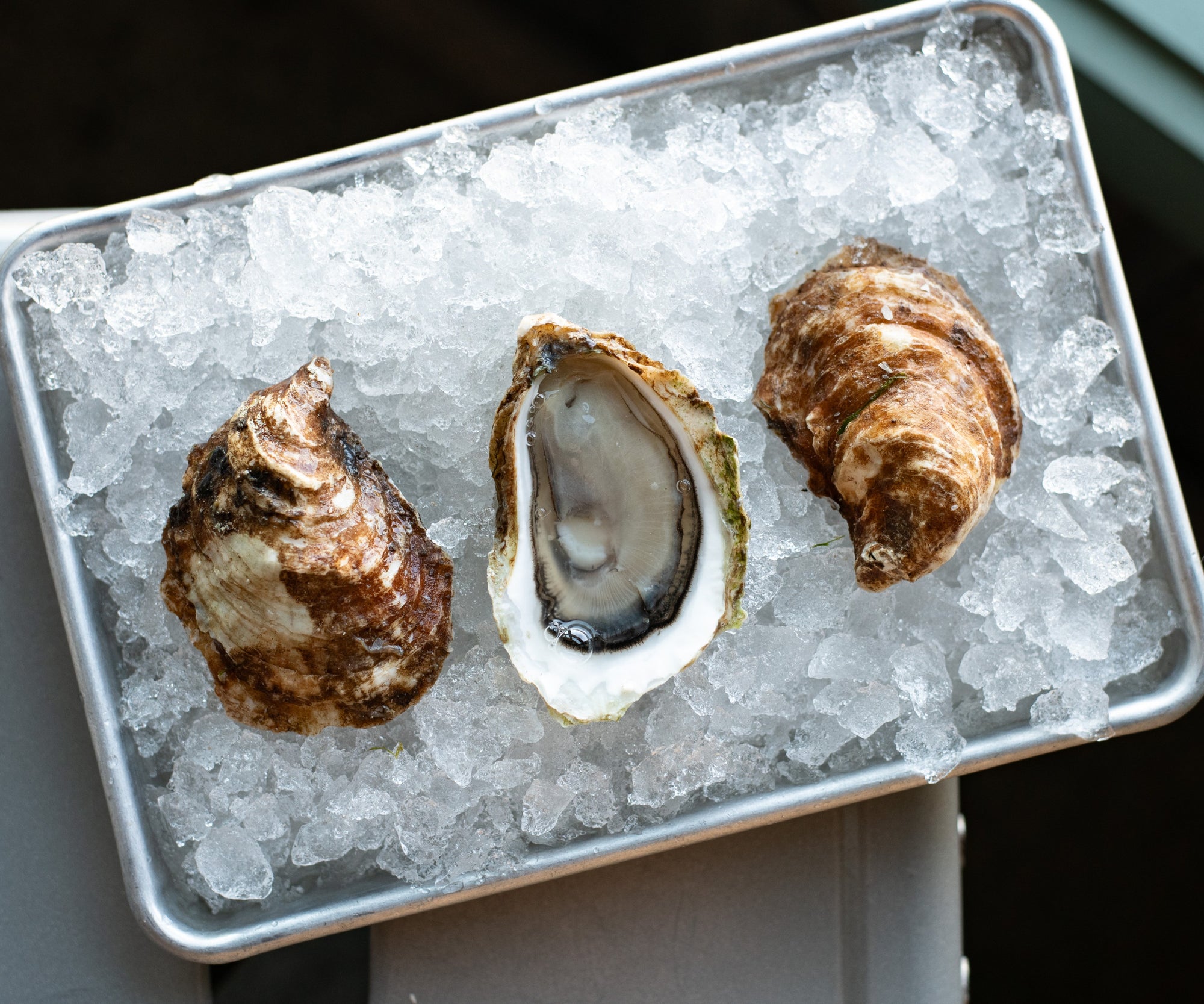 King's Cups Oysters from PEI, CAN