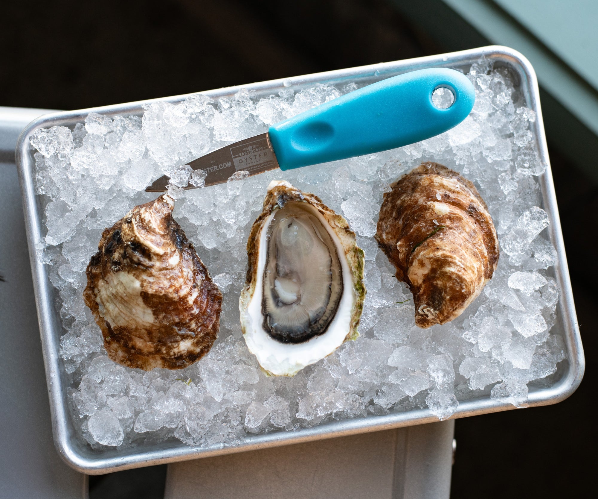 King's Cups Oysters from PEI, CAN