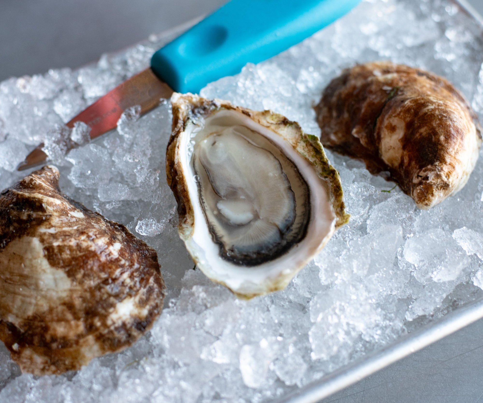 King's Cups Oysters from PEI, CAN