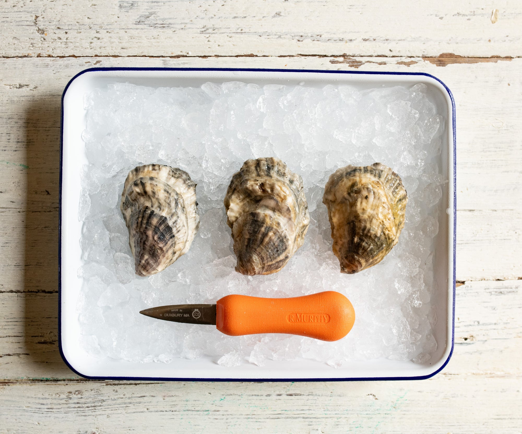 River Gold Oysters from Damariscotta, ME