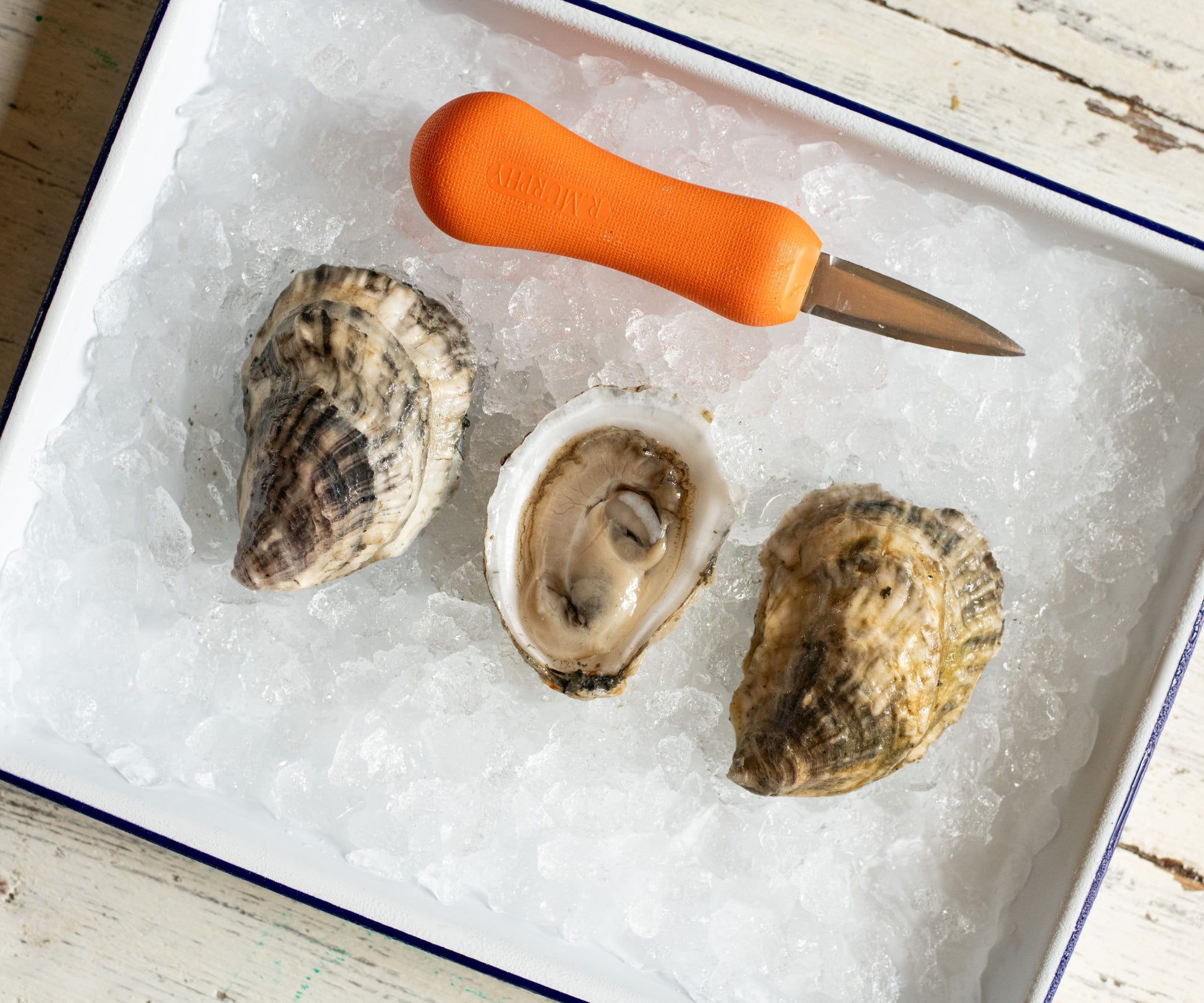 River Gold Oysters from Damariscotta, ME