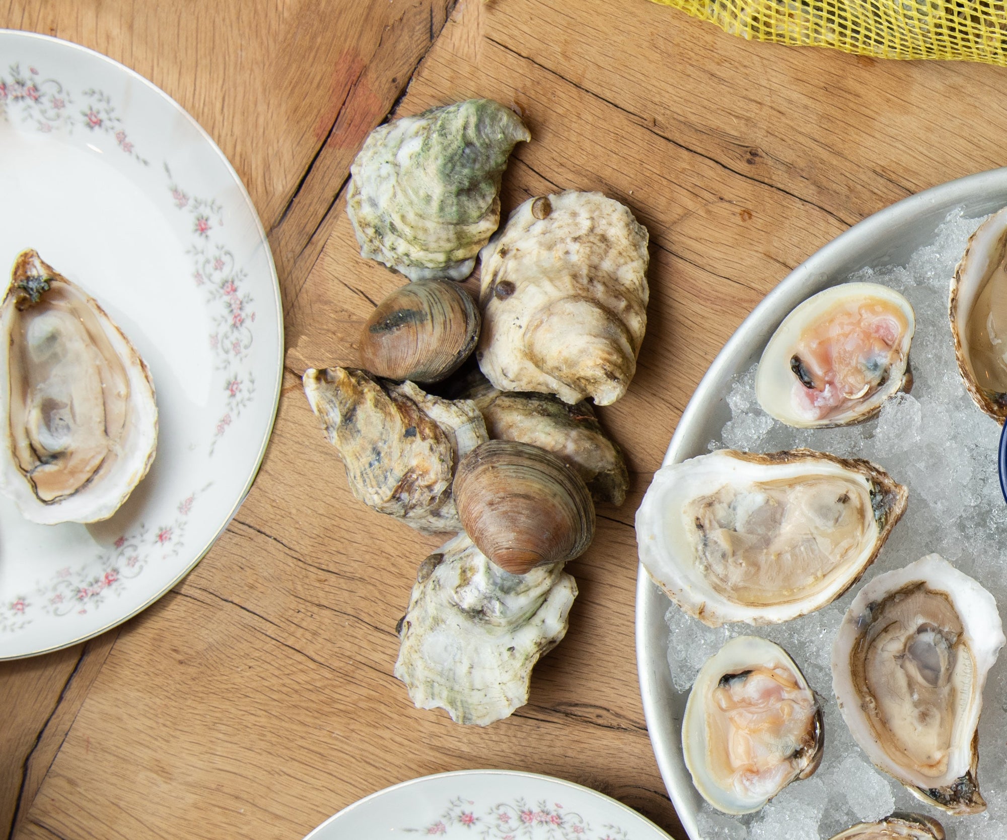 Half & Half: 50 Moon Shoals & 50 Littleneck Clams