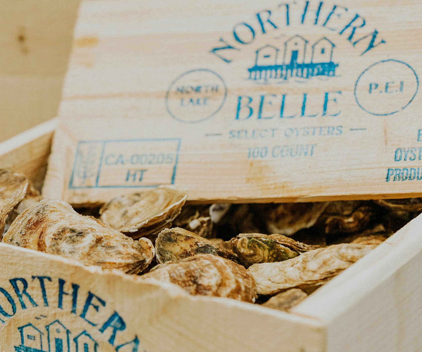 Northern Belle Oysters from PEI, CAN