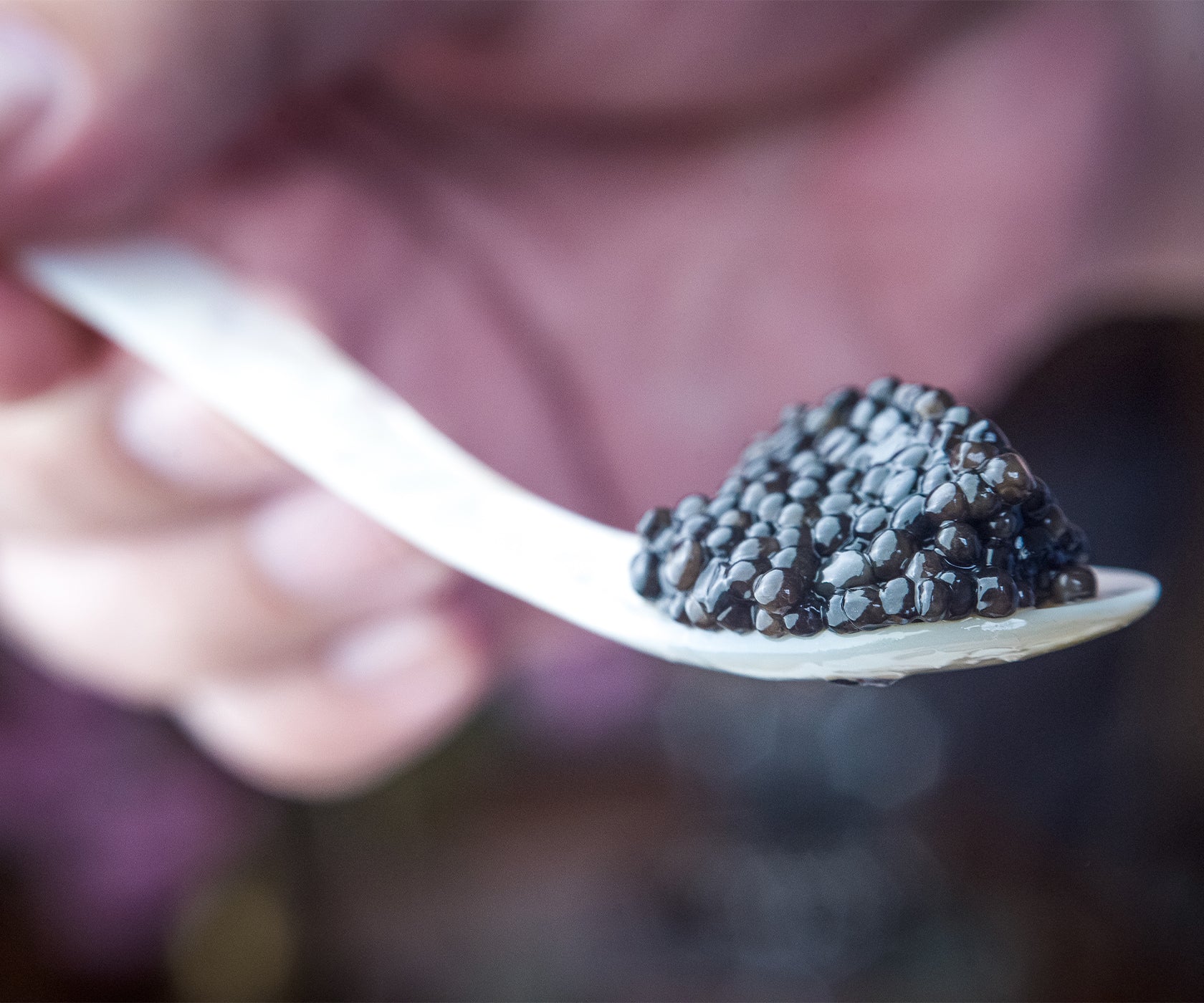 Adamas Siberian Caviar from Pandino, Italy