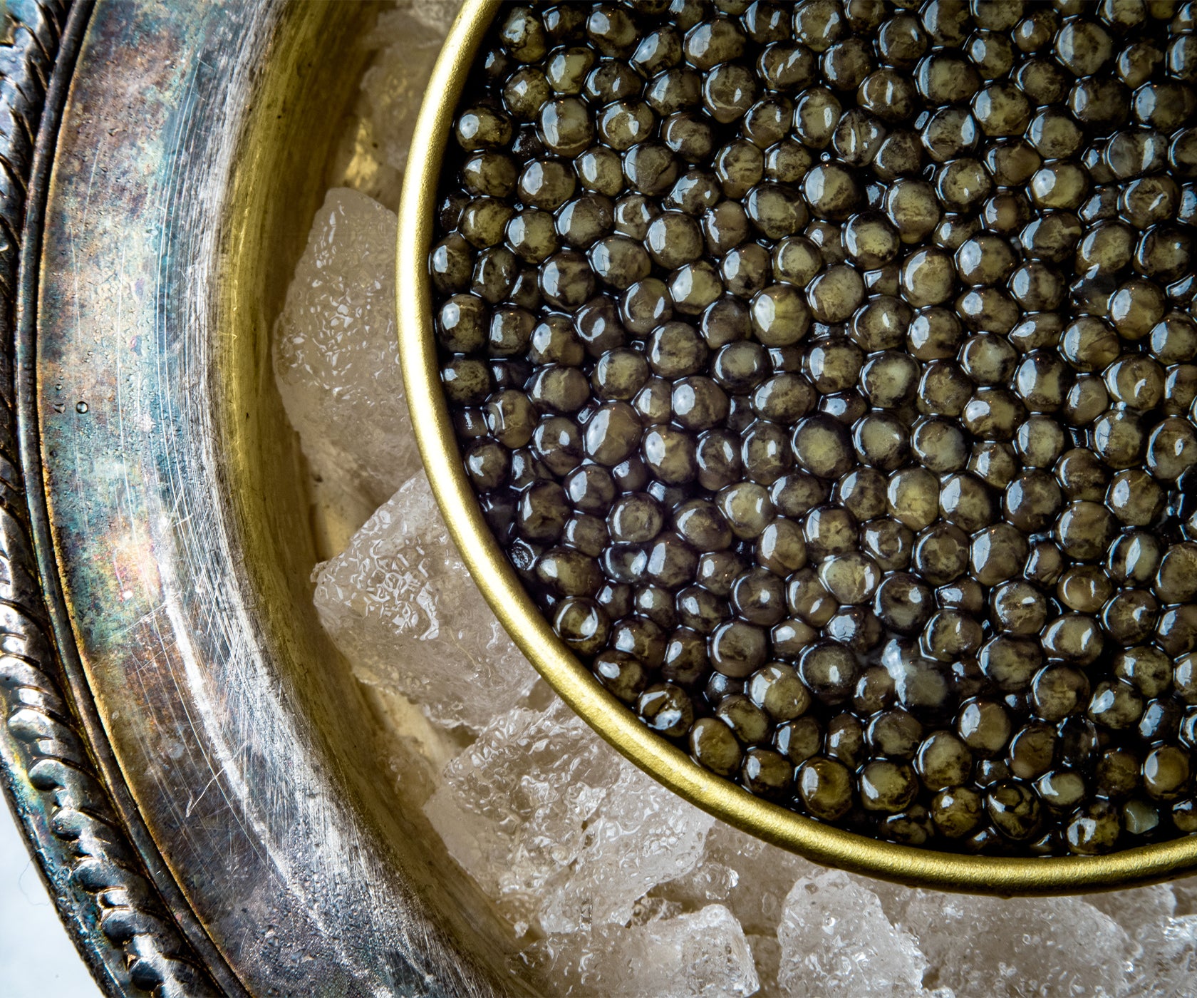 Caviar Reed Caviar & Roe - Island Creek Oysters | Buy Oysters Online
