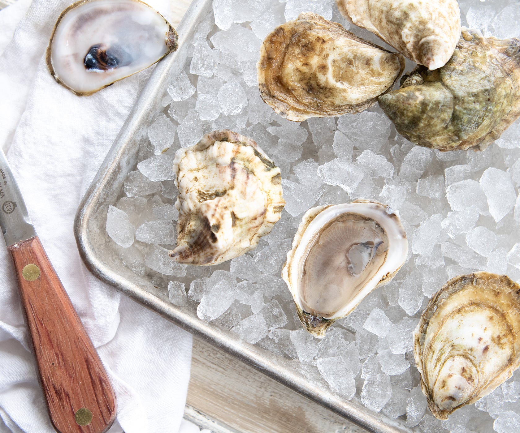 Davenport Oysters from Dennis, MA